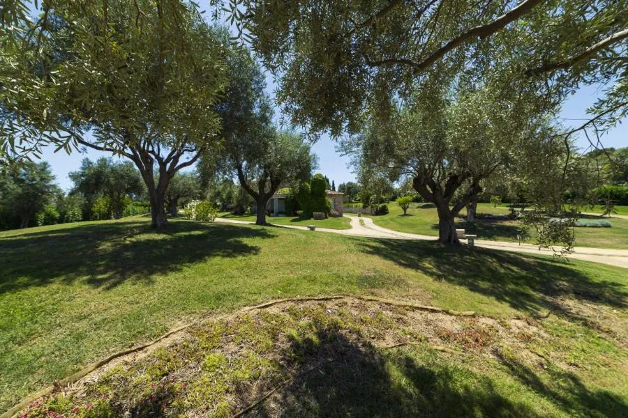 Garden in Nicolaus Prime Villas Resort