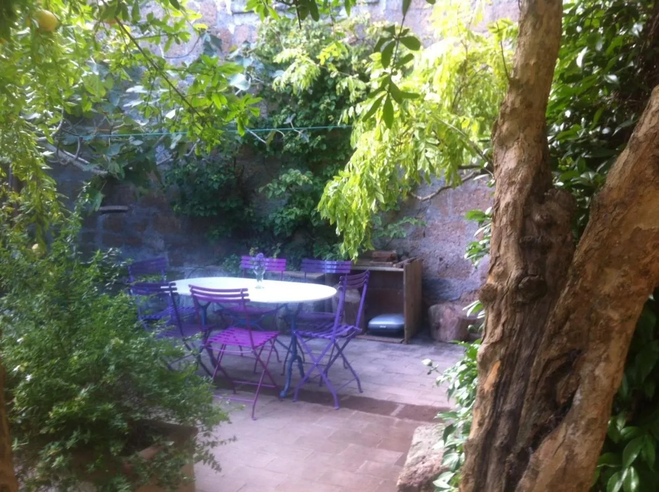 Garden in Palazzo Contino