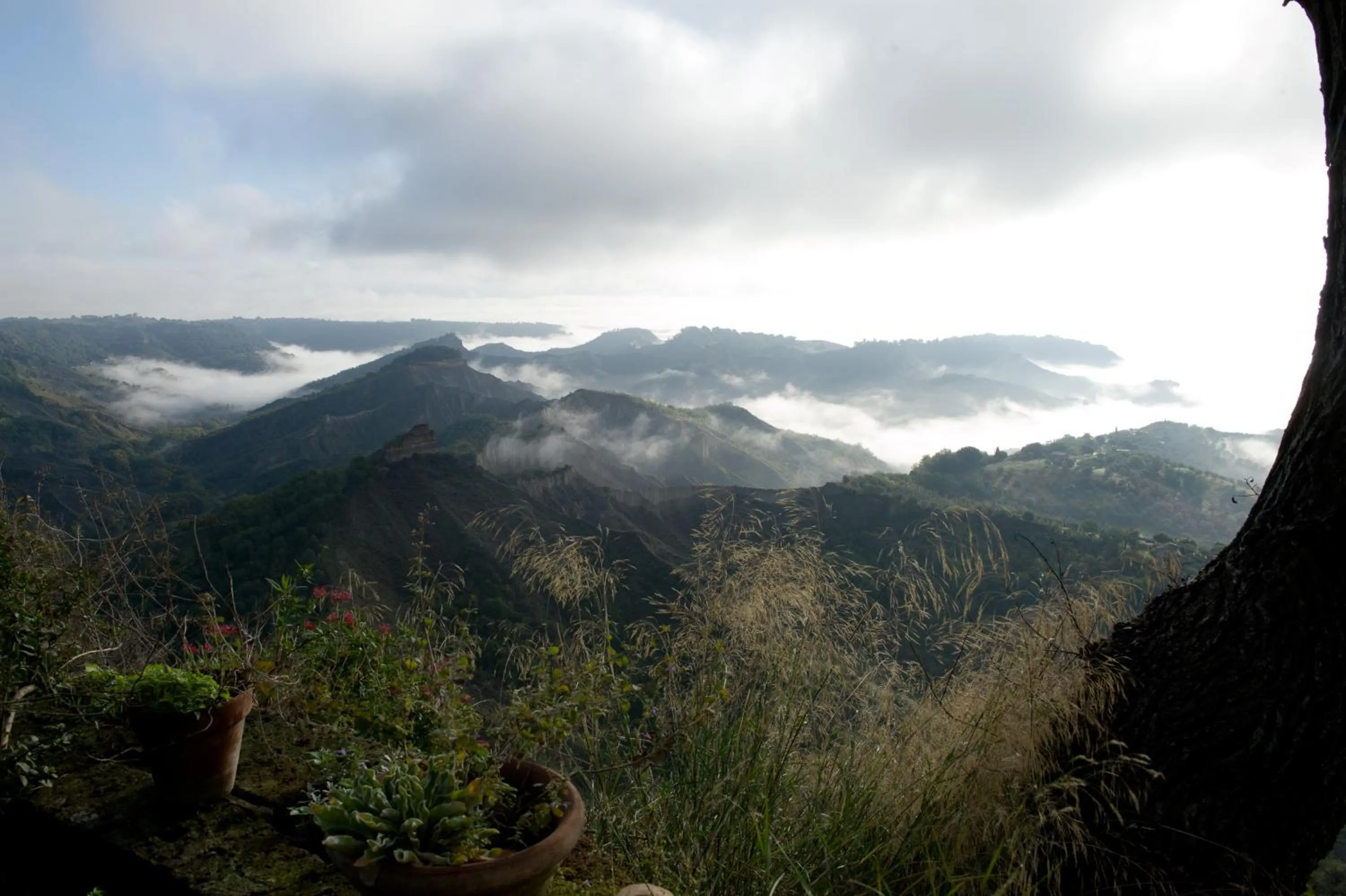 Landmark view in Palazzo Contino