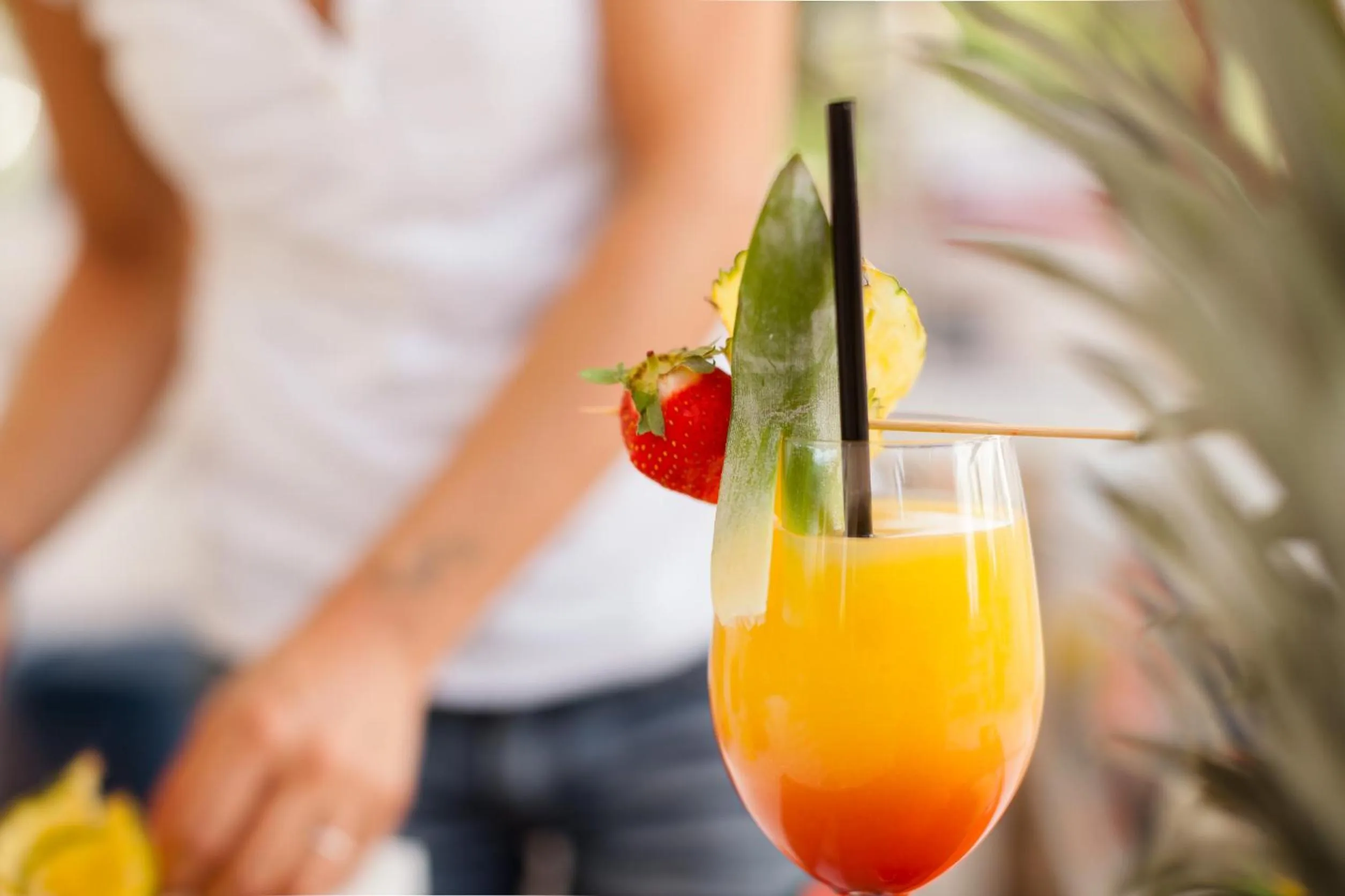 Lounge or bar in Hotel Cavallino Bianco