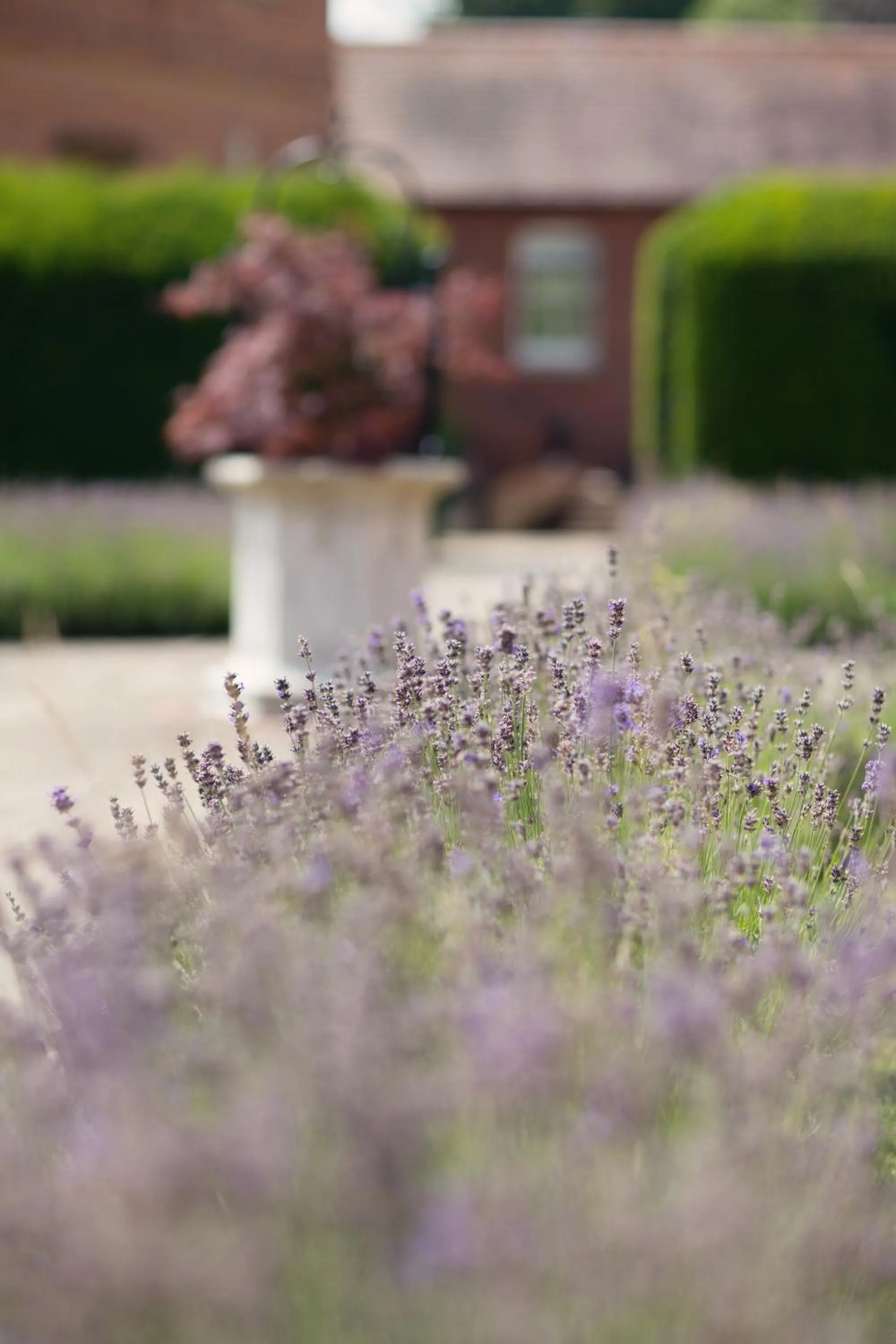 Garden in Stanbrook Abbey Hotel, Worcester