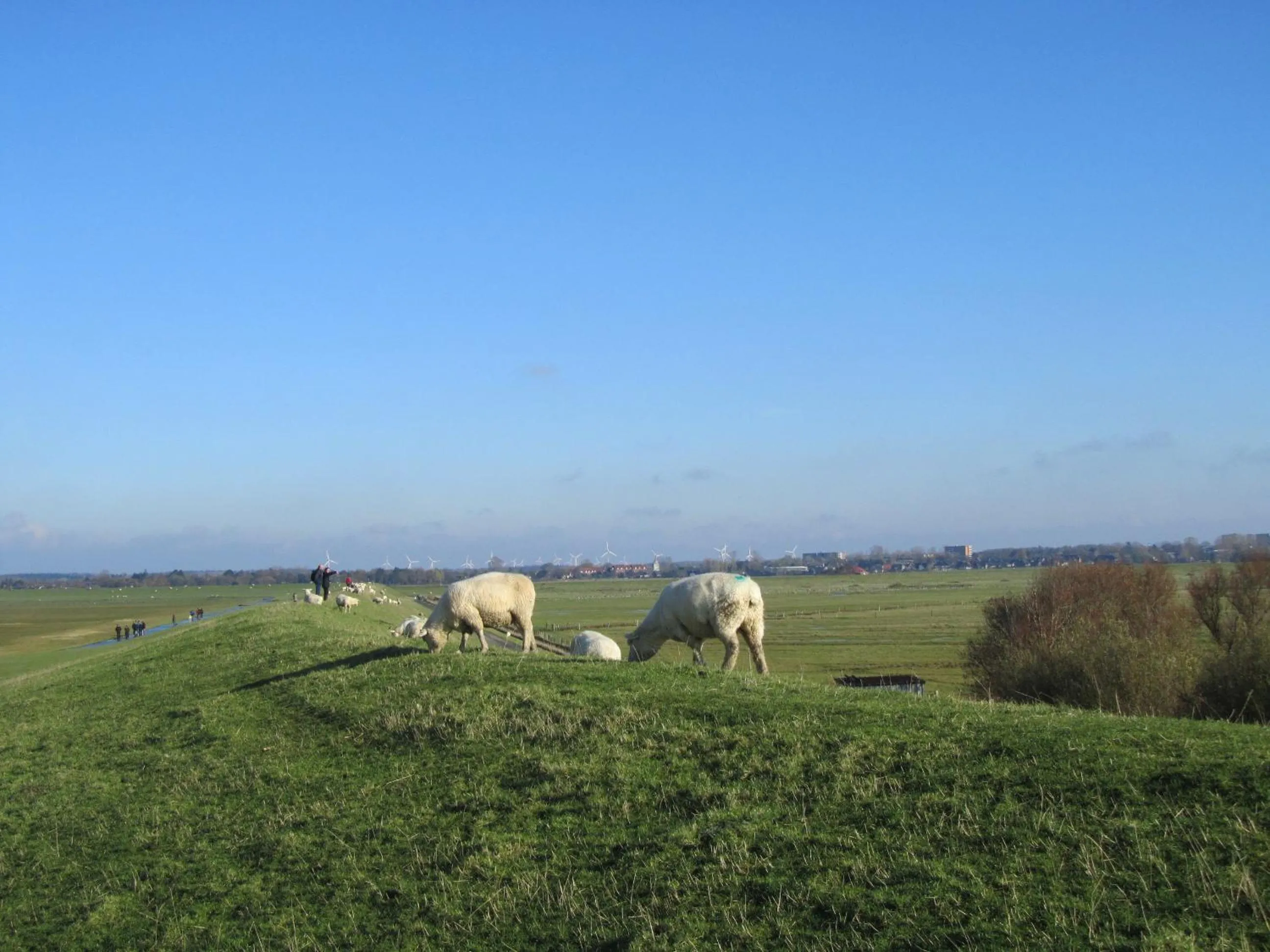 Natural landscape in Ferienwohnung Holt