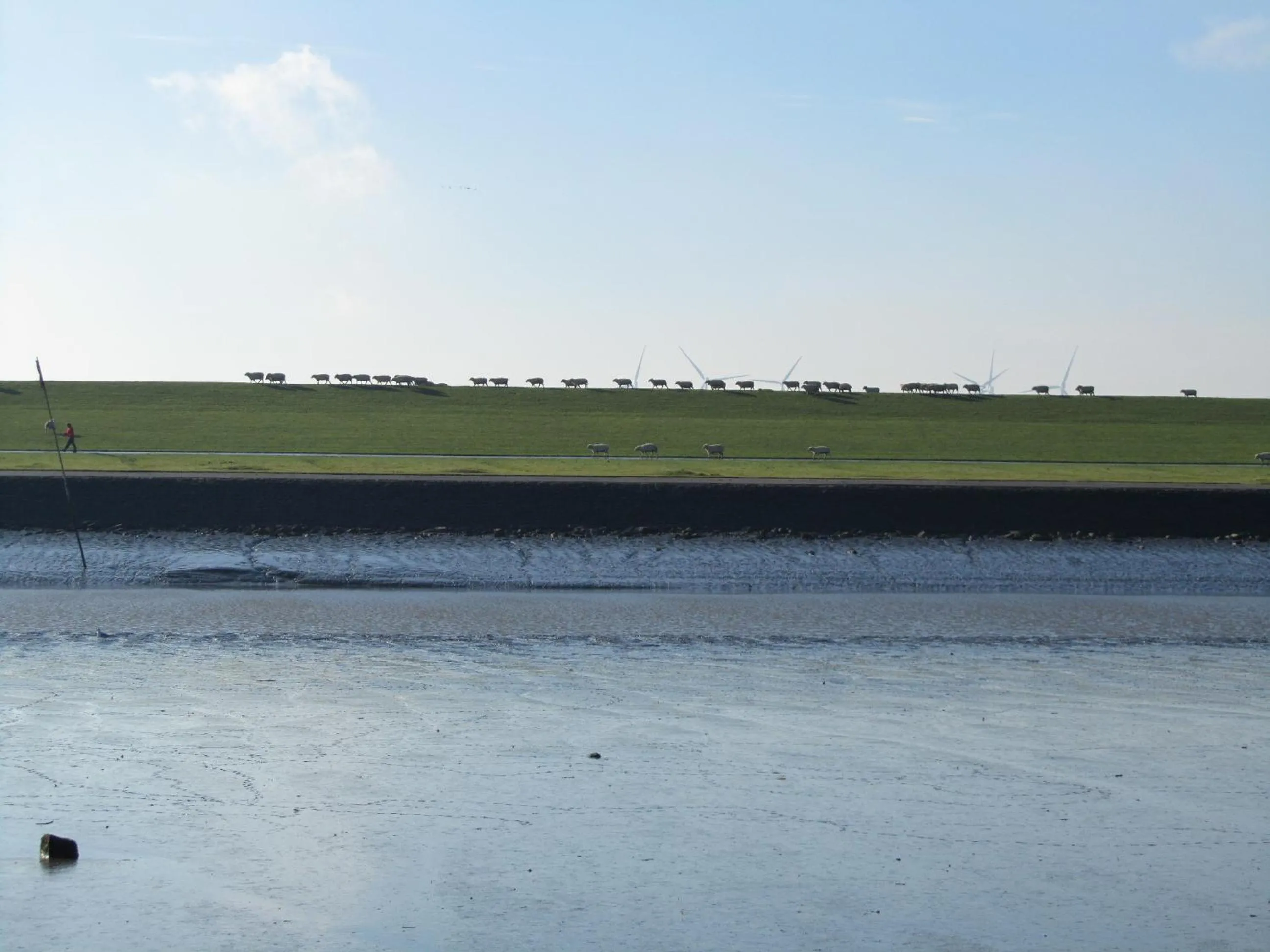 Natural landscape in Ferienwohnung Holt