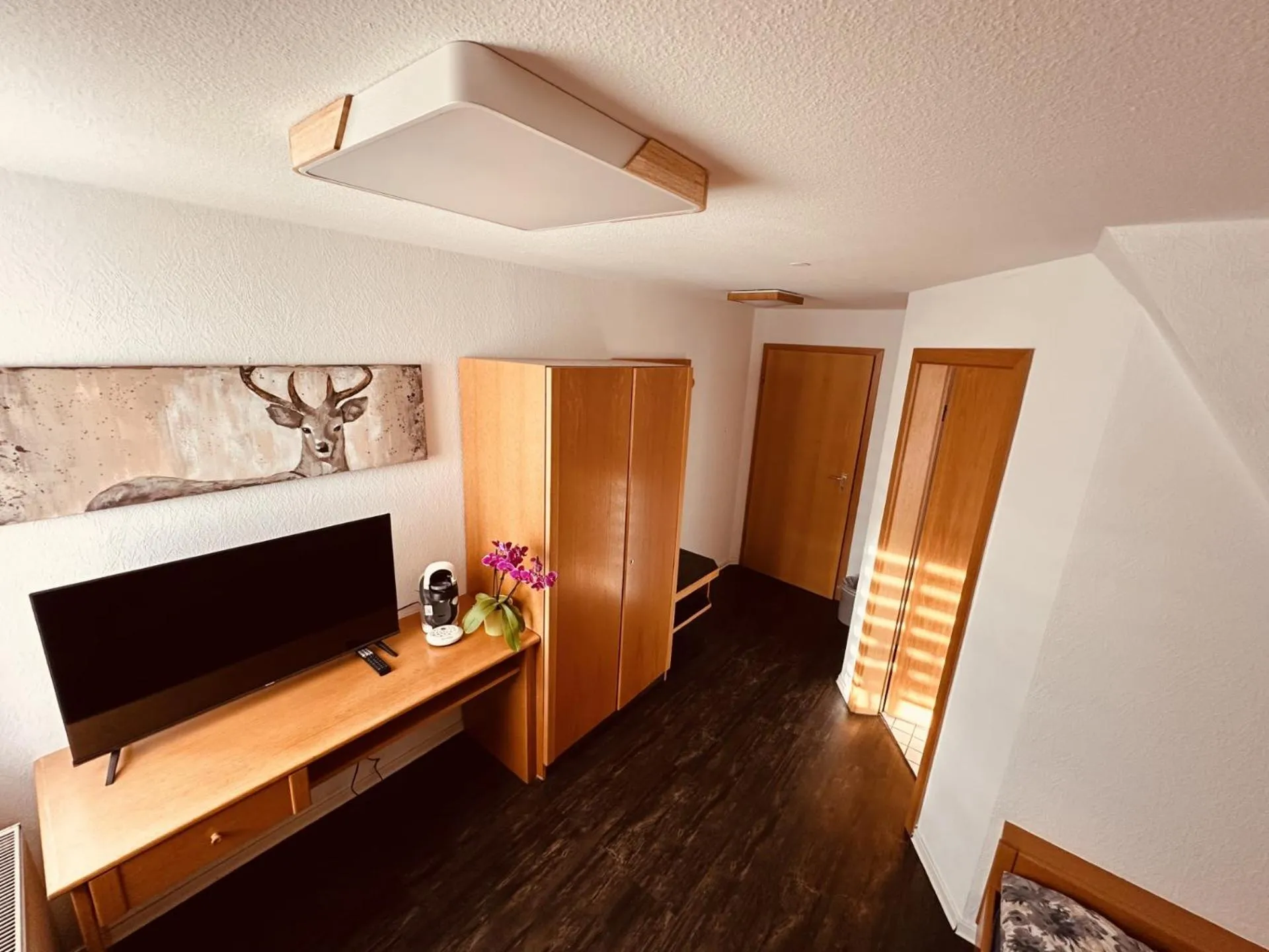 TV and multimedia in Gasthaus Ochsen