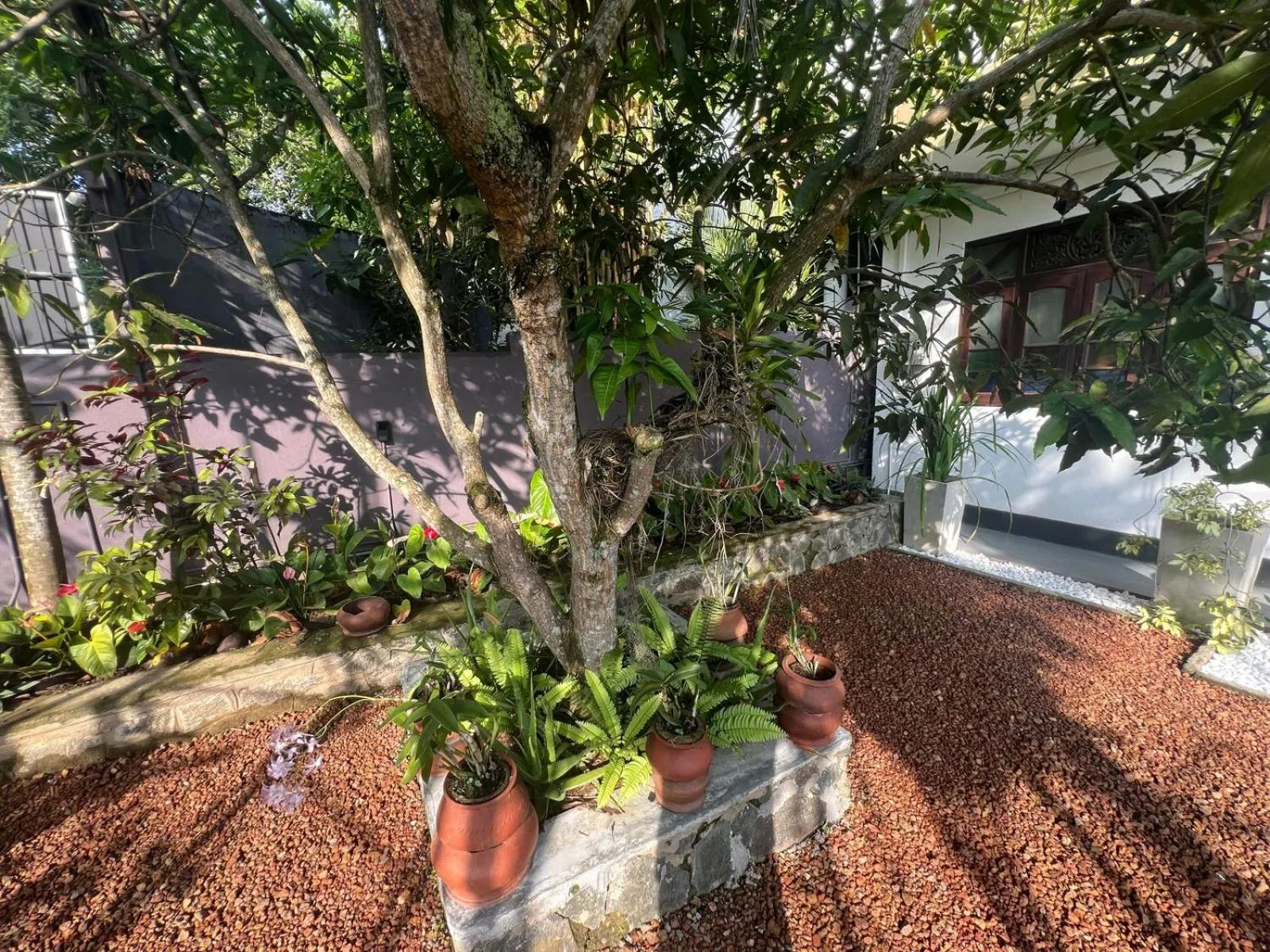 Garden in The Vitamin Sea