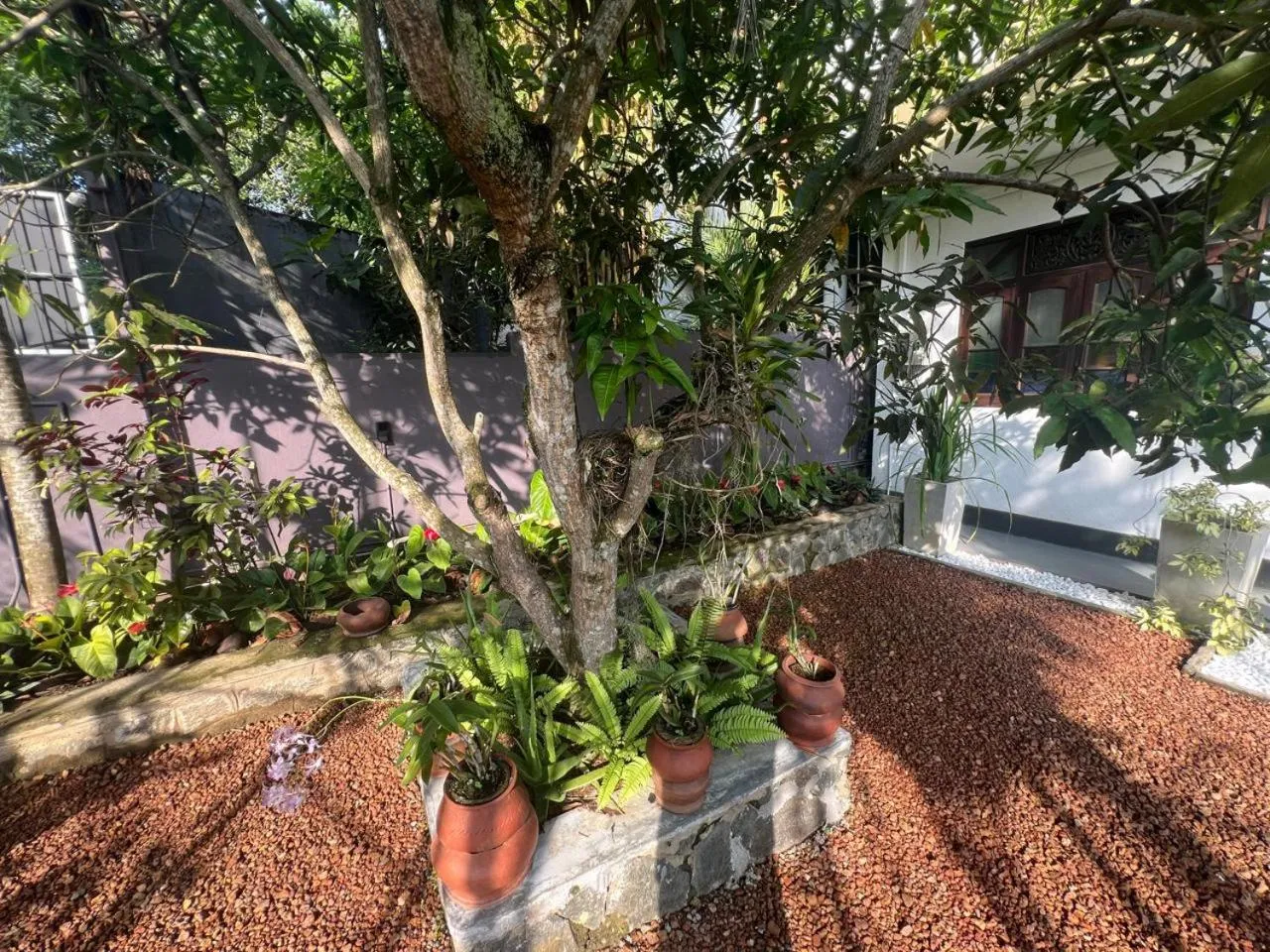 Garden in The Vitamin Sea