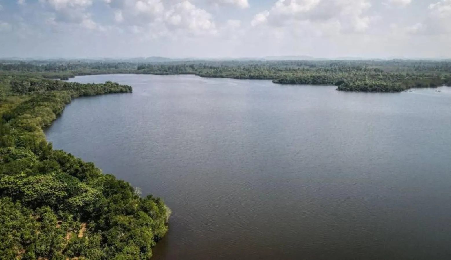 Other in The Vitamin Sea