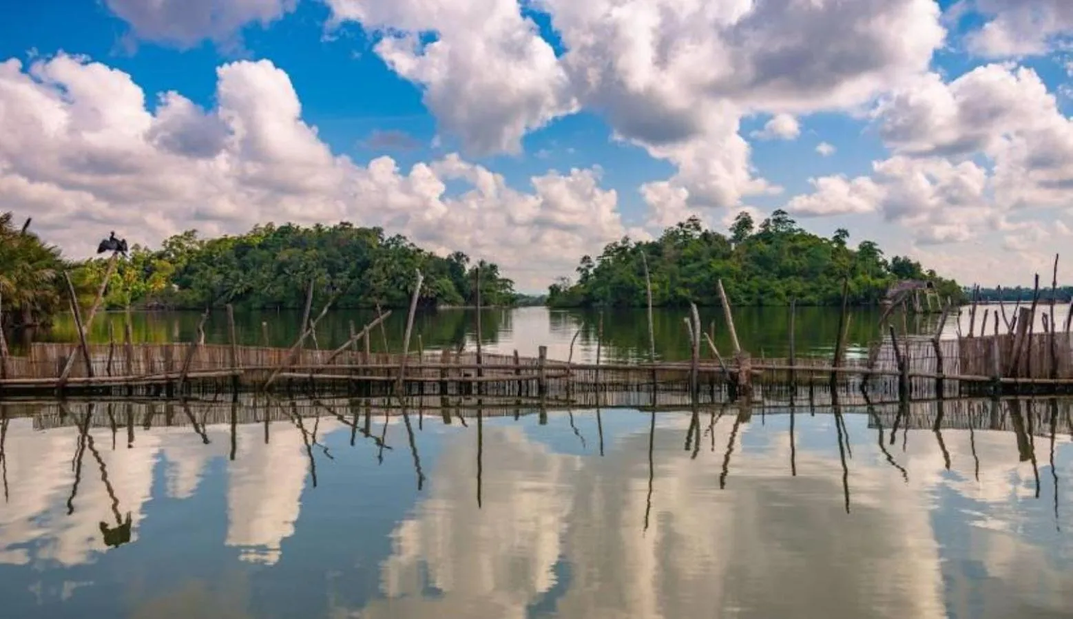 Other in The Vitamin Sea