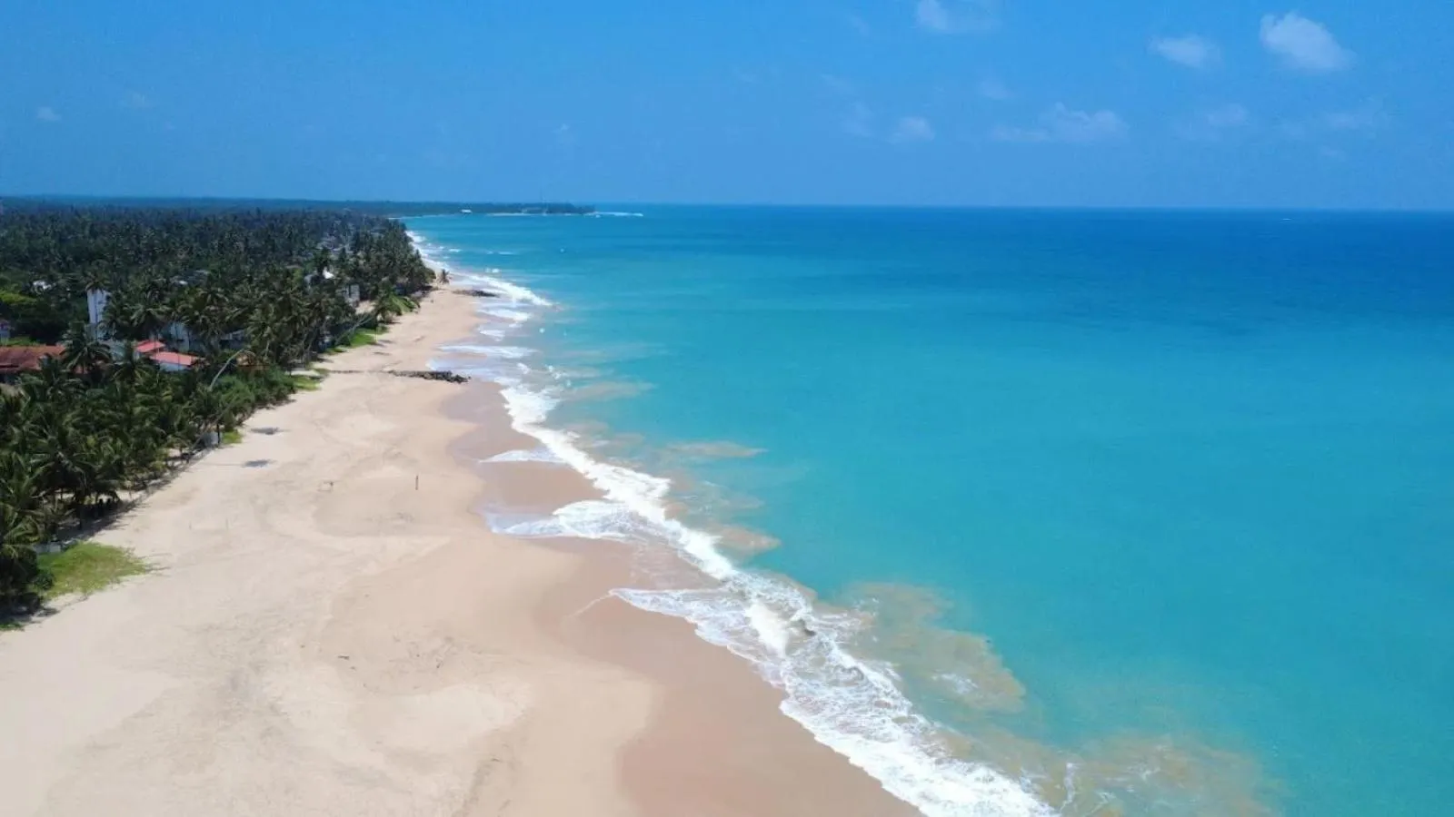 Beach in The Vitamin Sea