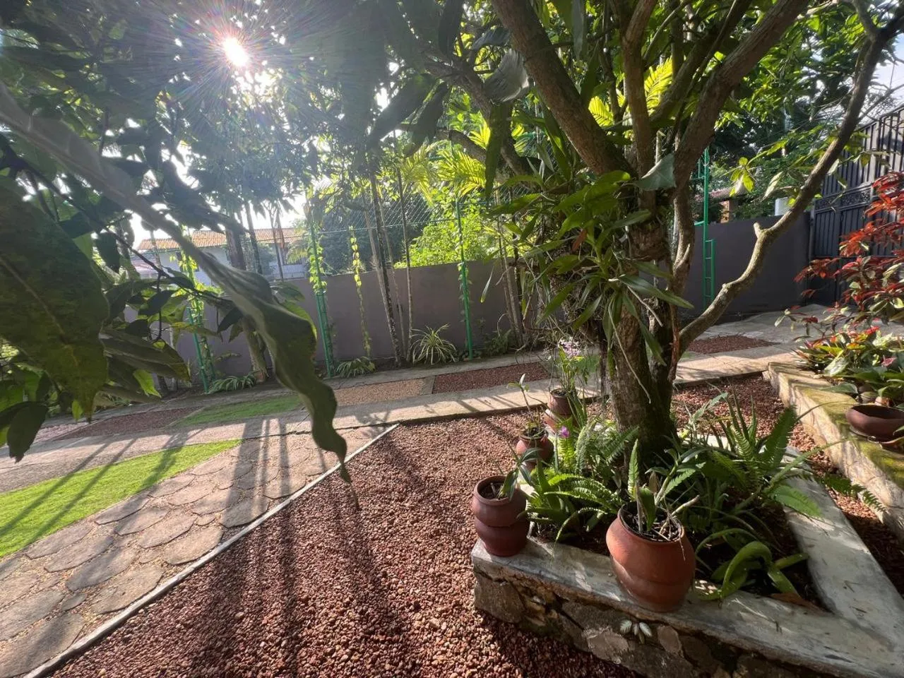 Garden in The Vitamin Sea