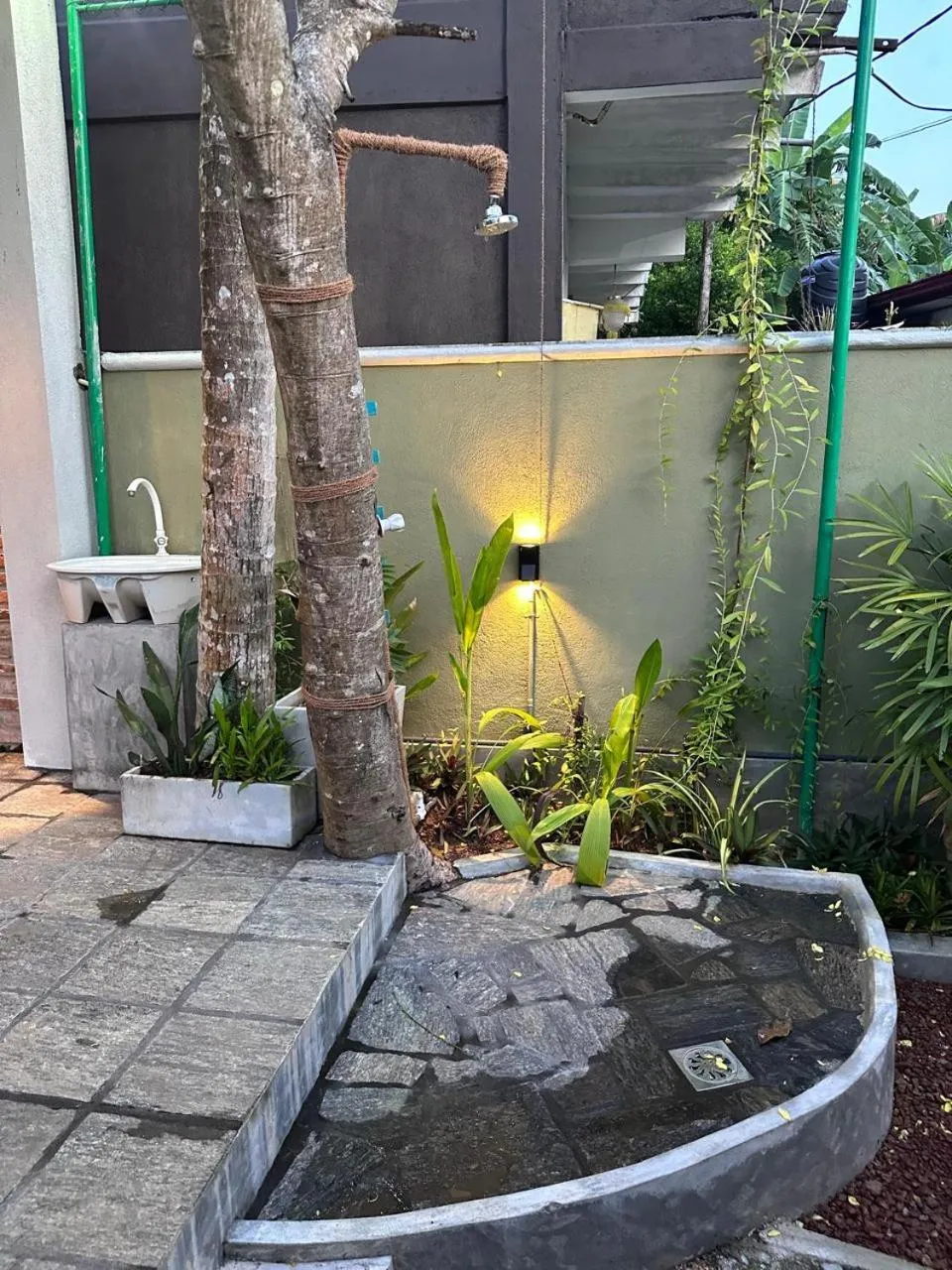 Garden in The Vitamin Sea