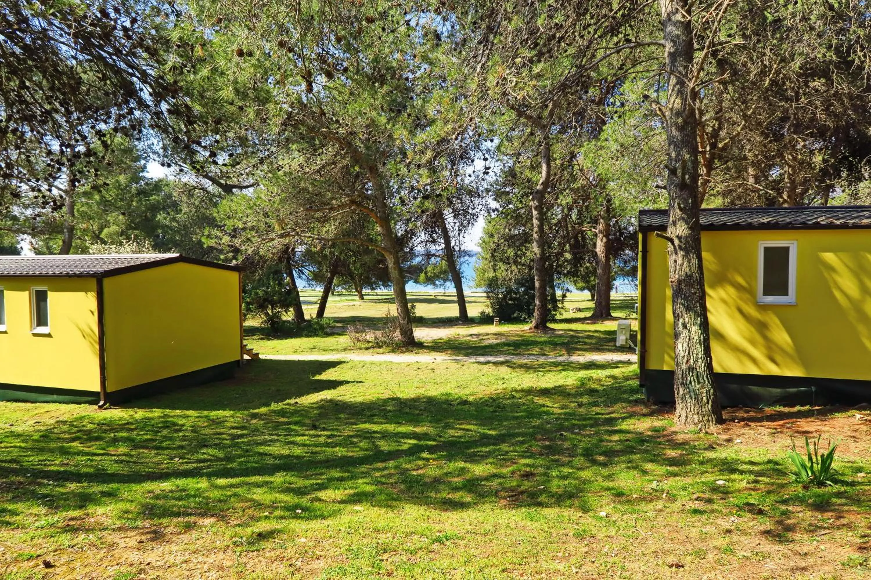 Natural landscape in Mobile Homes Camp Pineta - Adriatic Kampovi