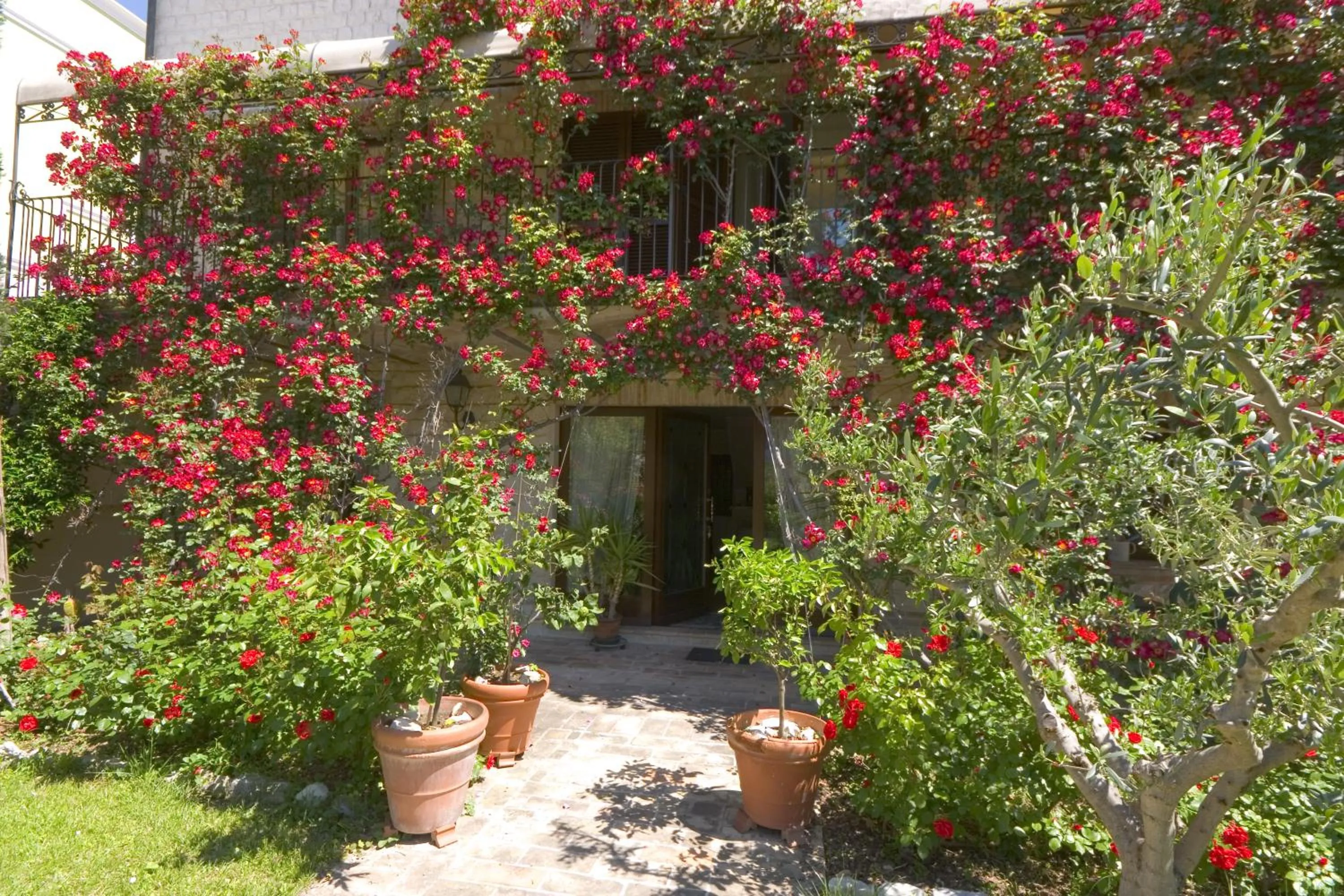 Facade/entrance in Velia Mare