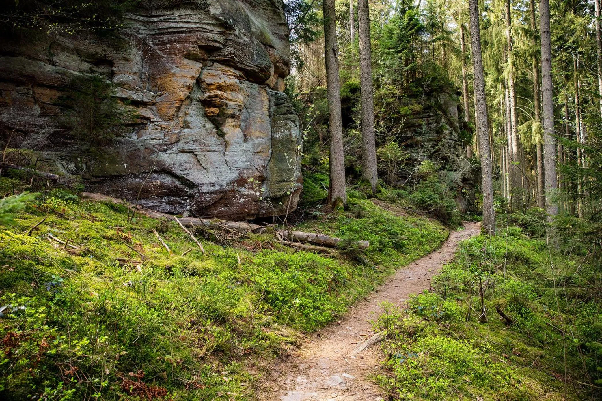 Natural landscape in Villa Waldeslust