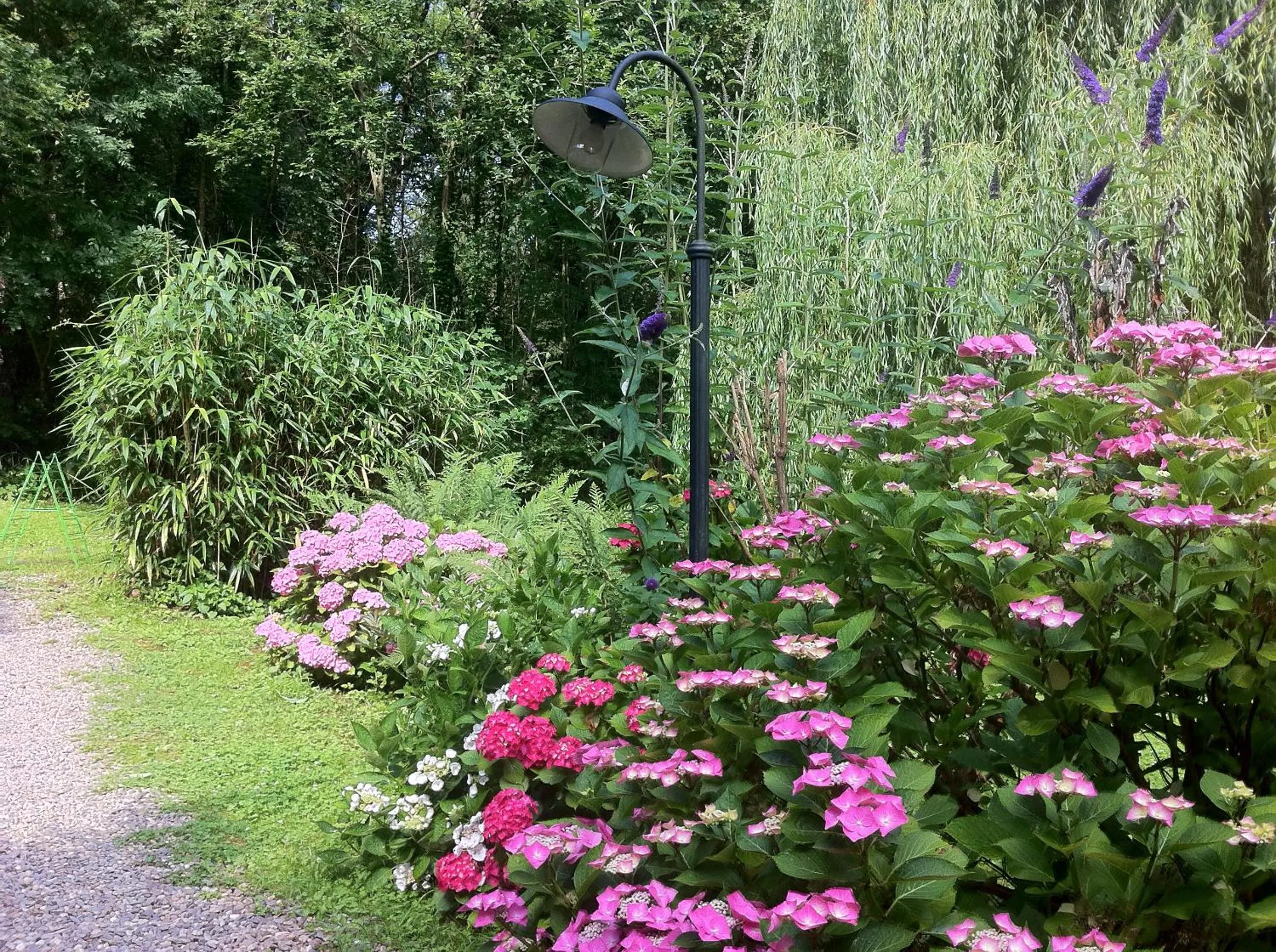 Garden in Villa Waldeslust