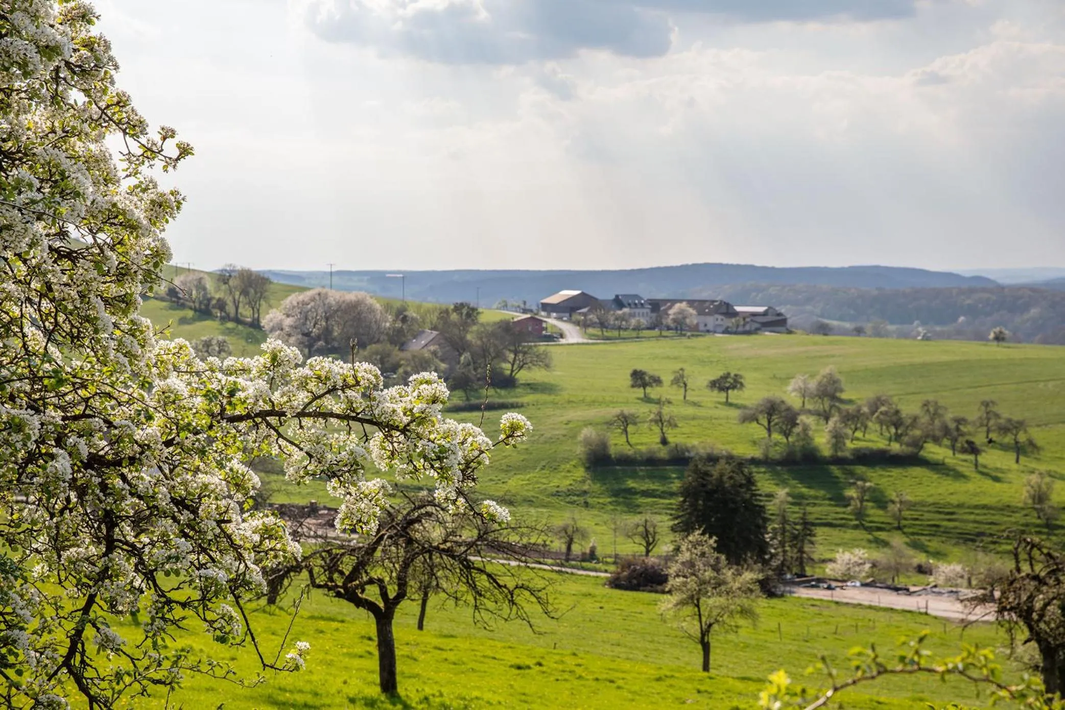Natural landscape in Villa Waldeslust