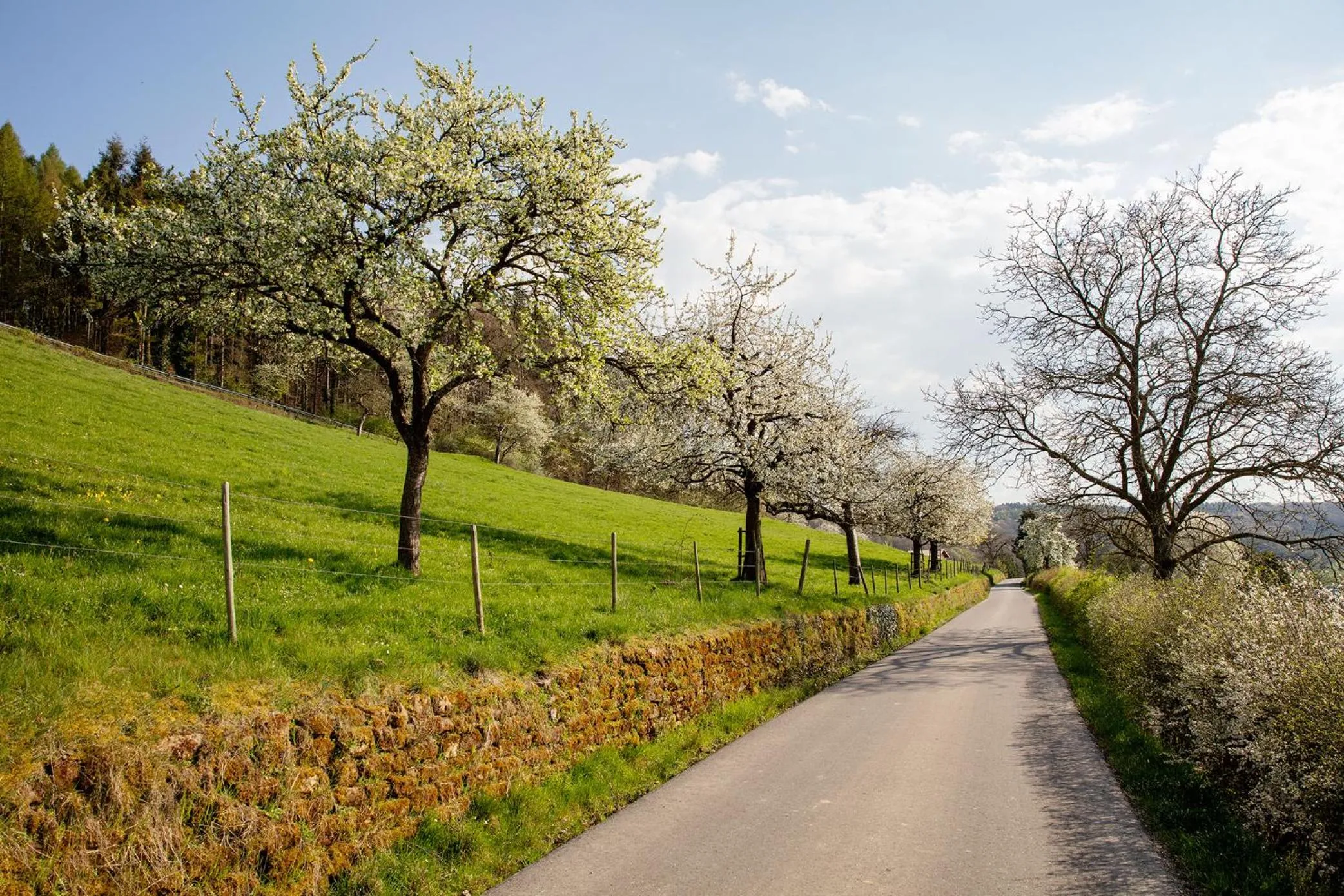 Spring in Villa Waldeslust