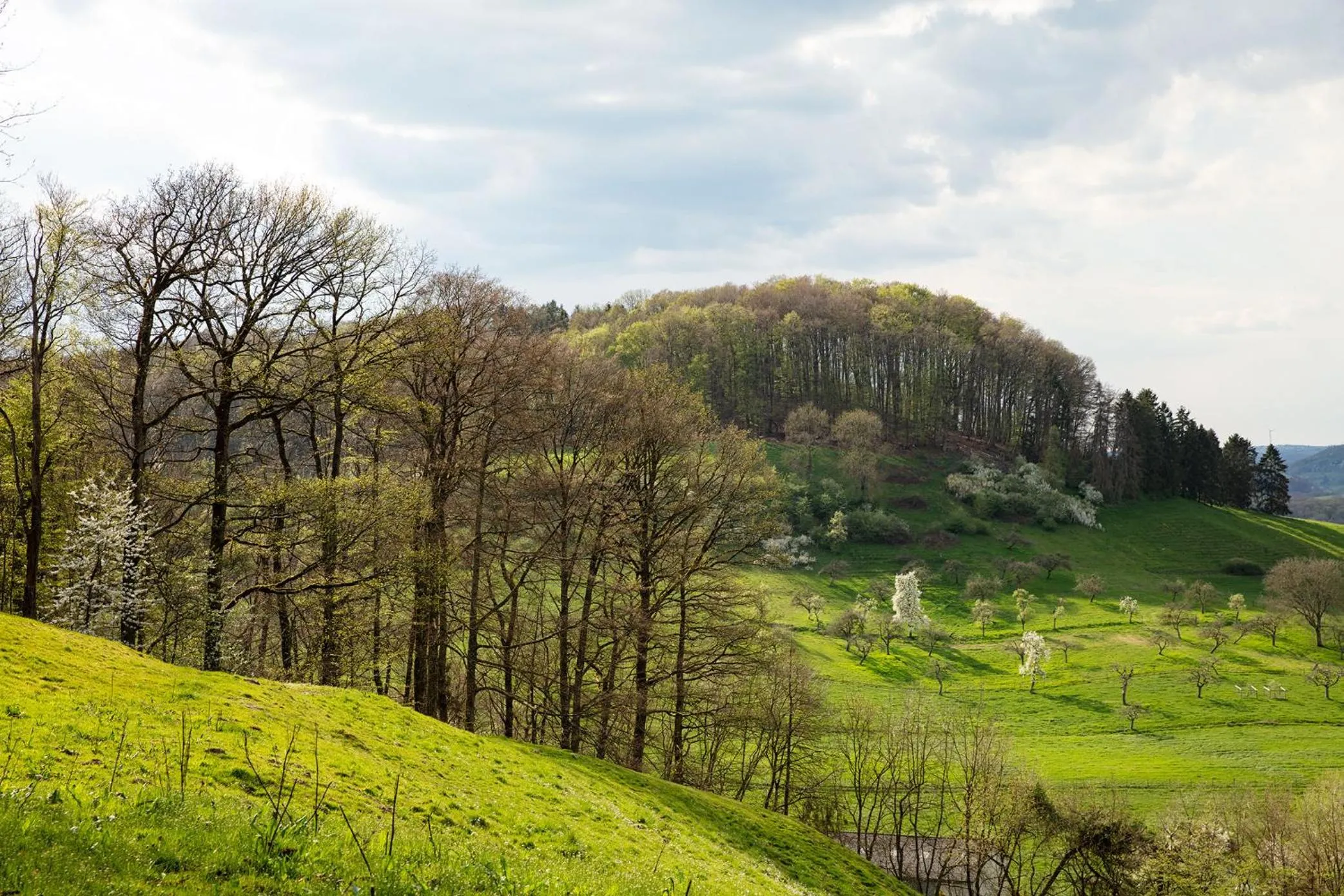 Natural landscape in Villa Waldeslust