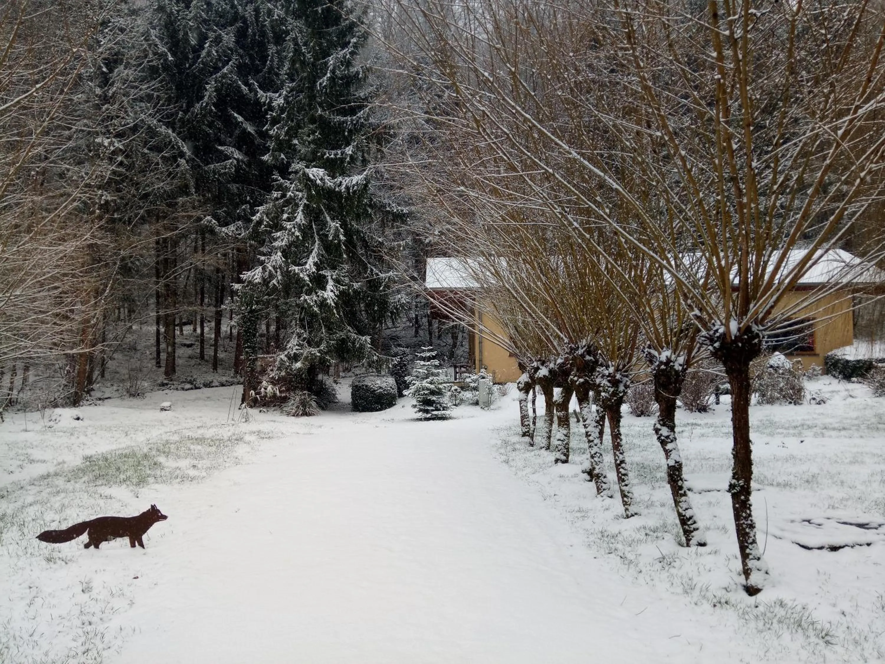 Natural landscape in Villa Waldeslust