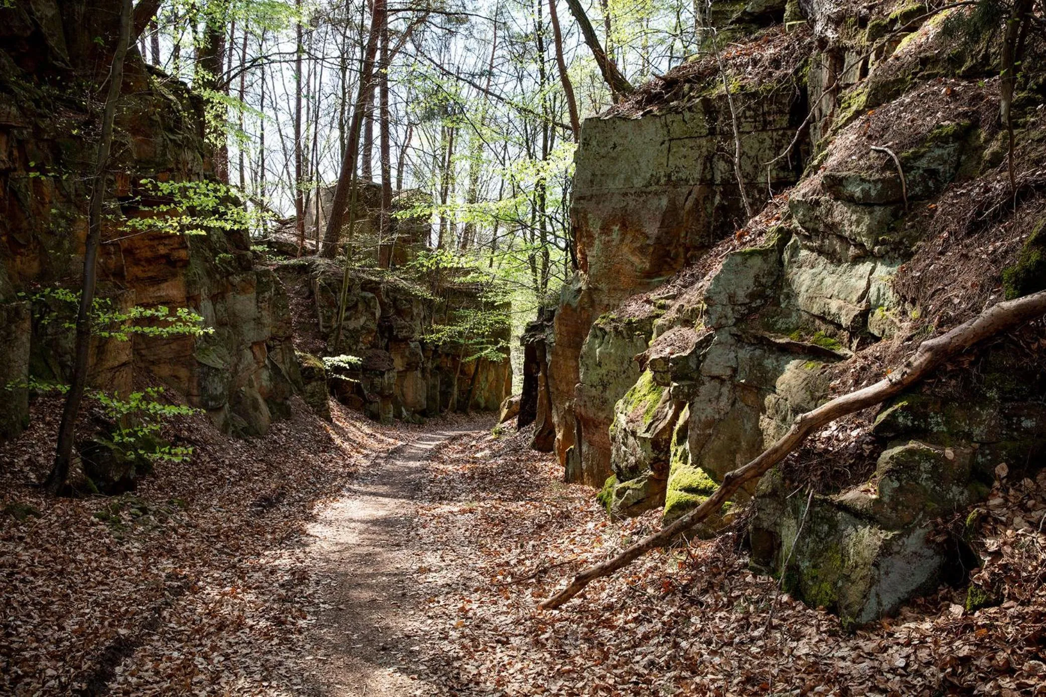 Natural landscape in Villa Waldeslust