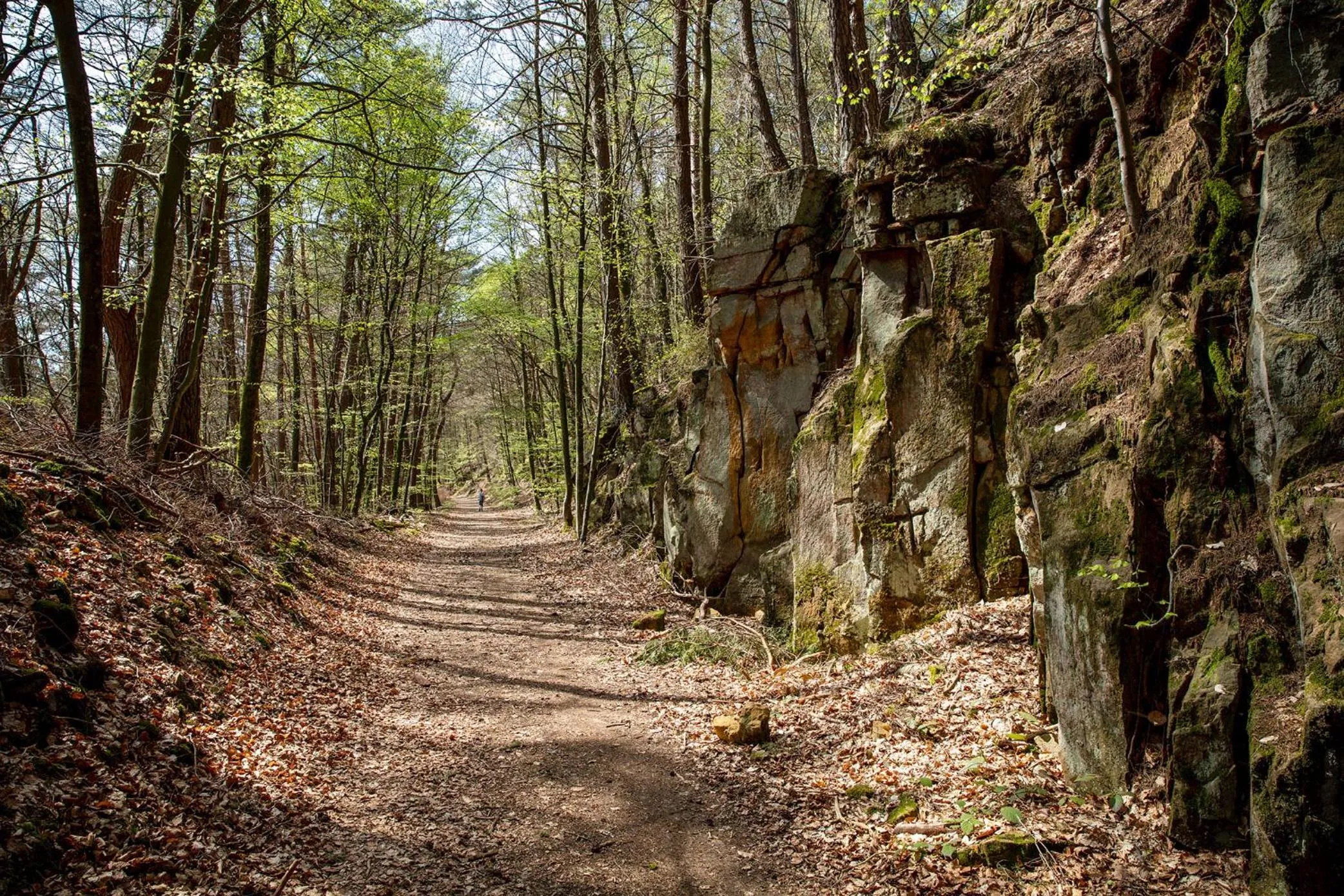 Natural landscape in Villa Waldeslust