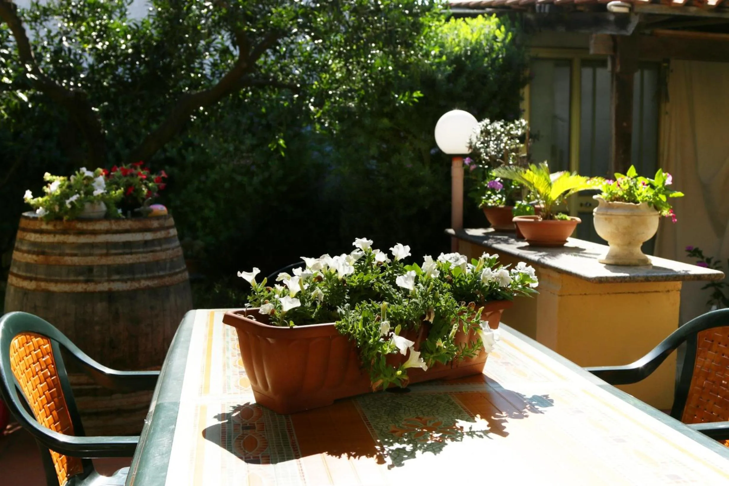 Garden in B&B La Villa