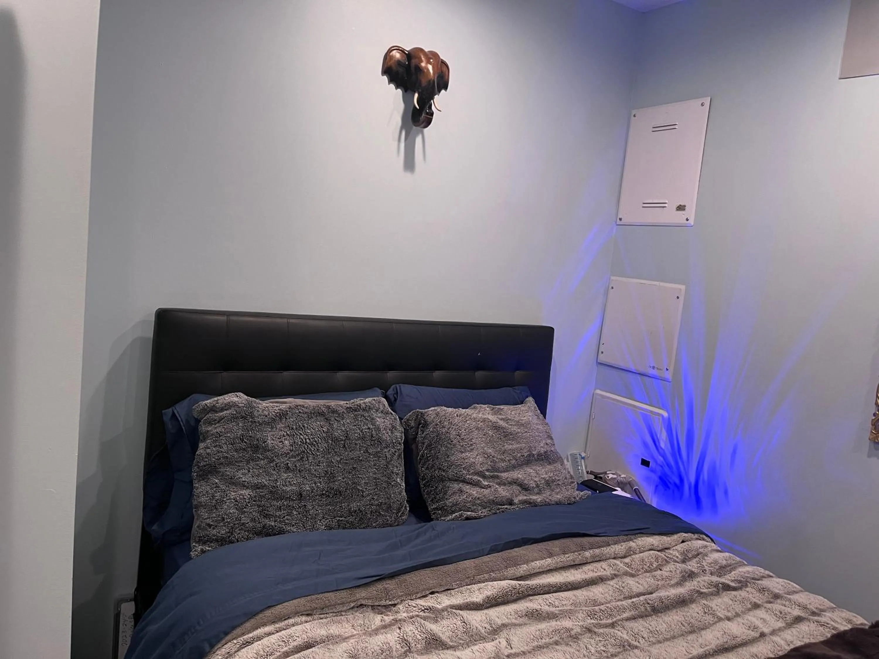 Bed in DC Luxury Condo