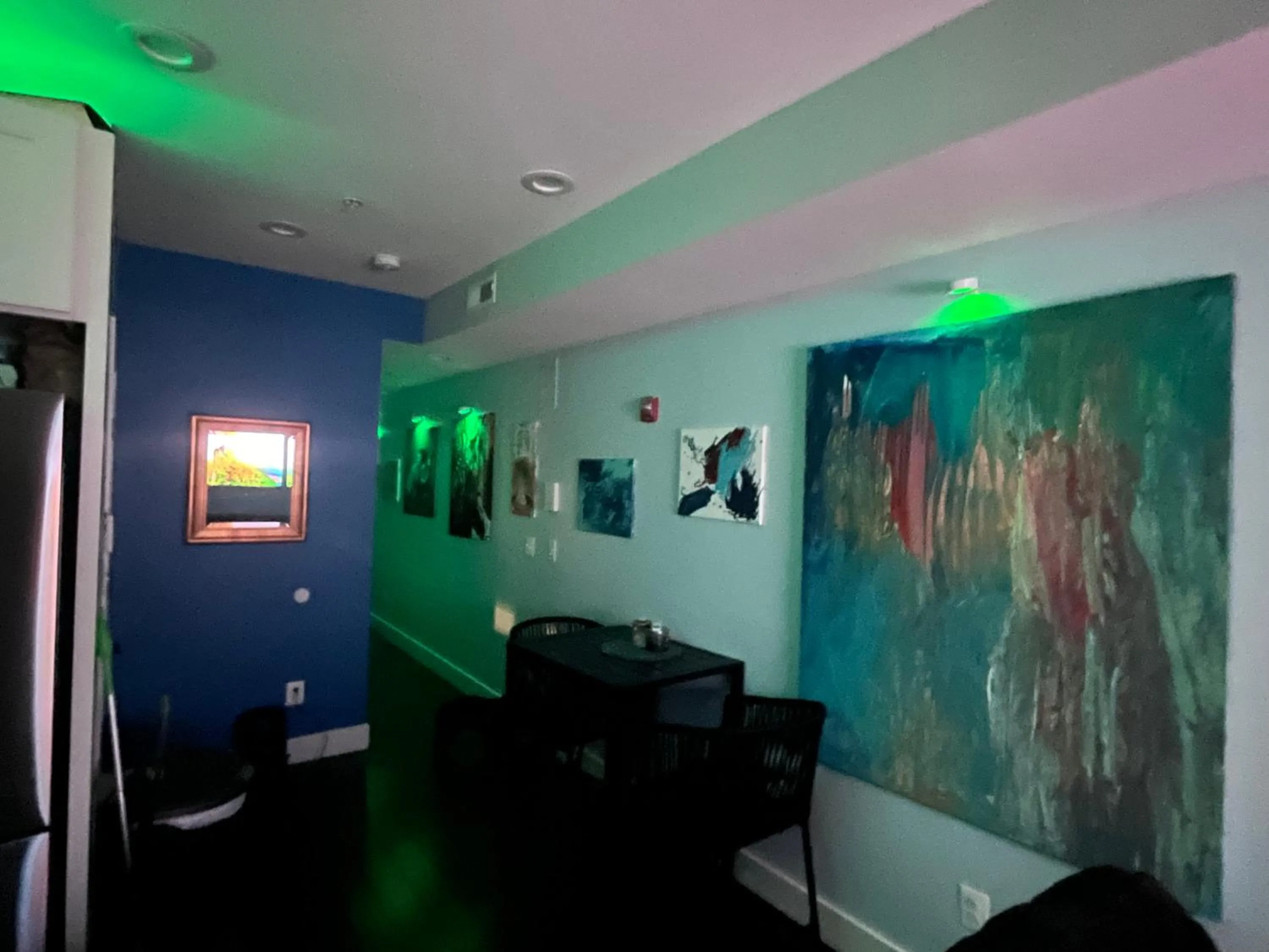 DC Luxury Condo