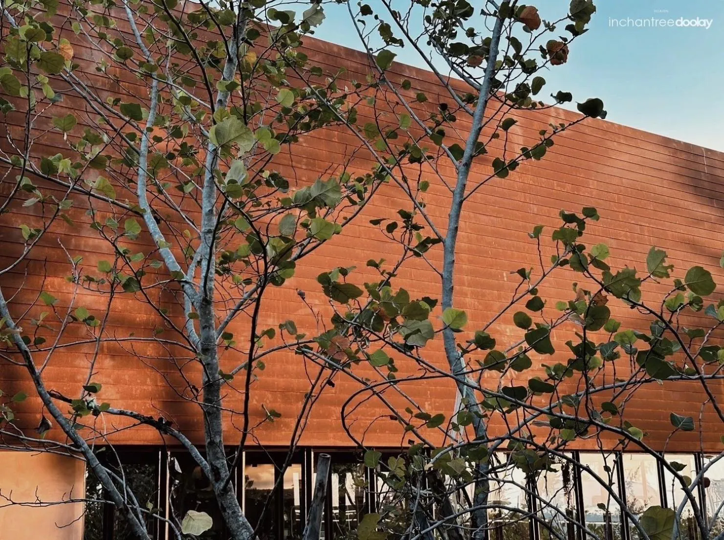 Restaurant/places to eat in inchantreedoolay huahin