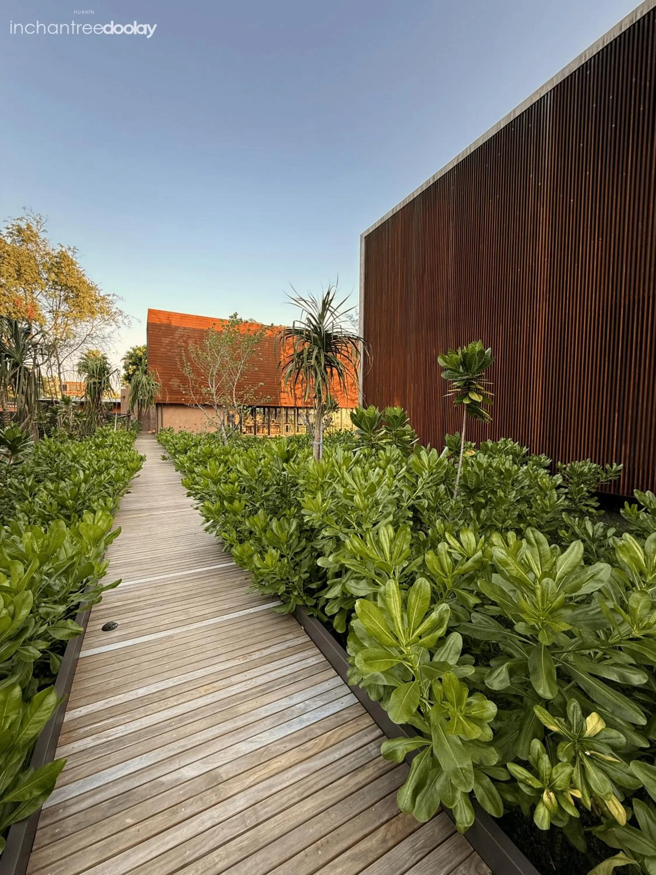 Day in inchantreedoolay huahin