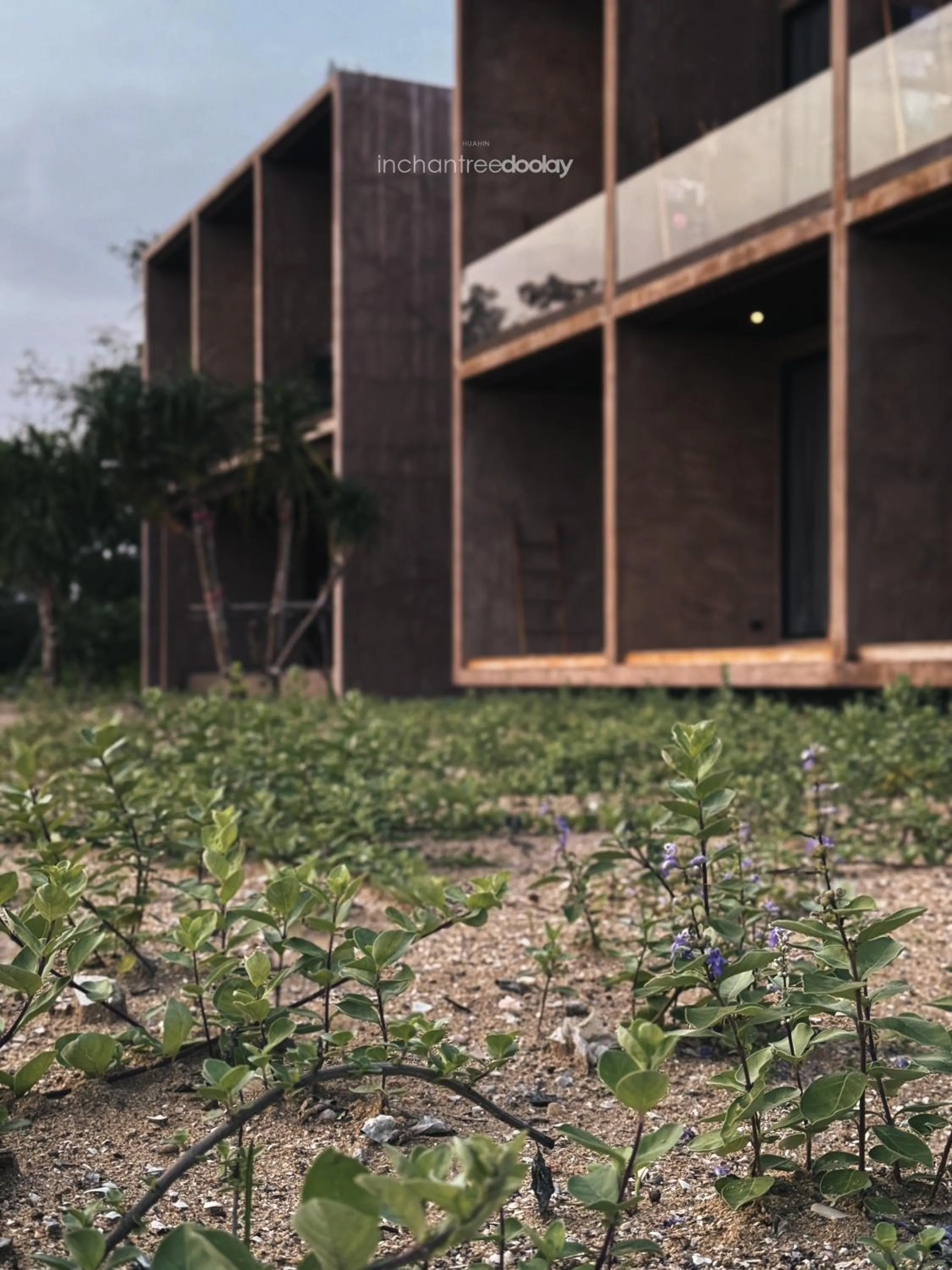 inchantreedoolay huahin