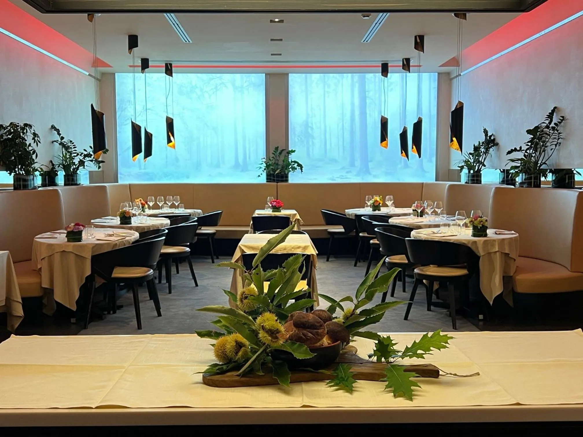 Restaurant/places to eat in Arli Hotel Business and Wellness