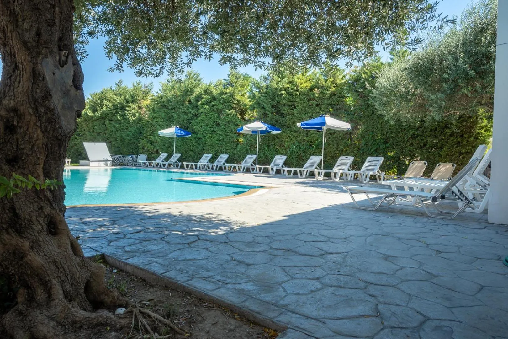 Spring in Triantafillas Suites