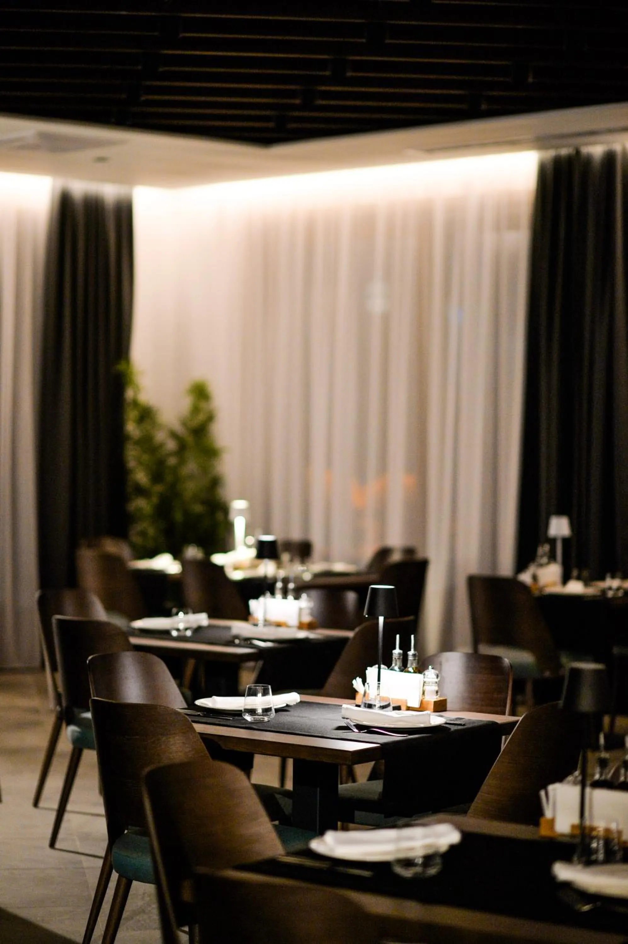 Restaurant/places to eat in Vila Borova Wellness&SPA Resort