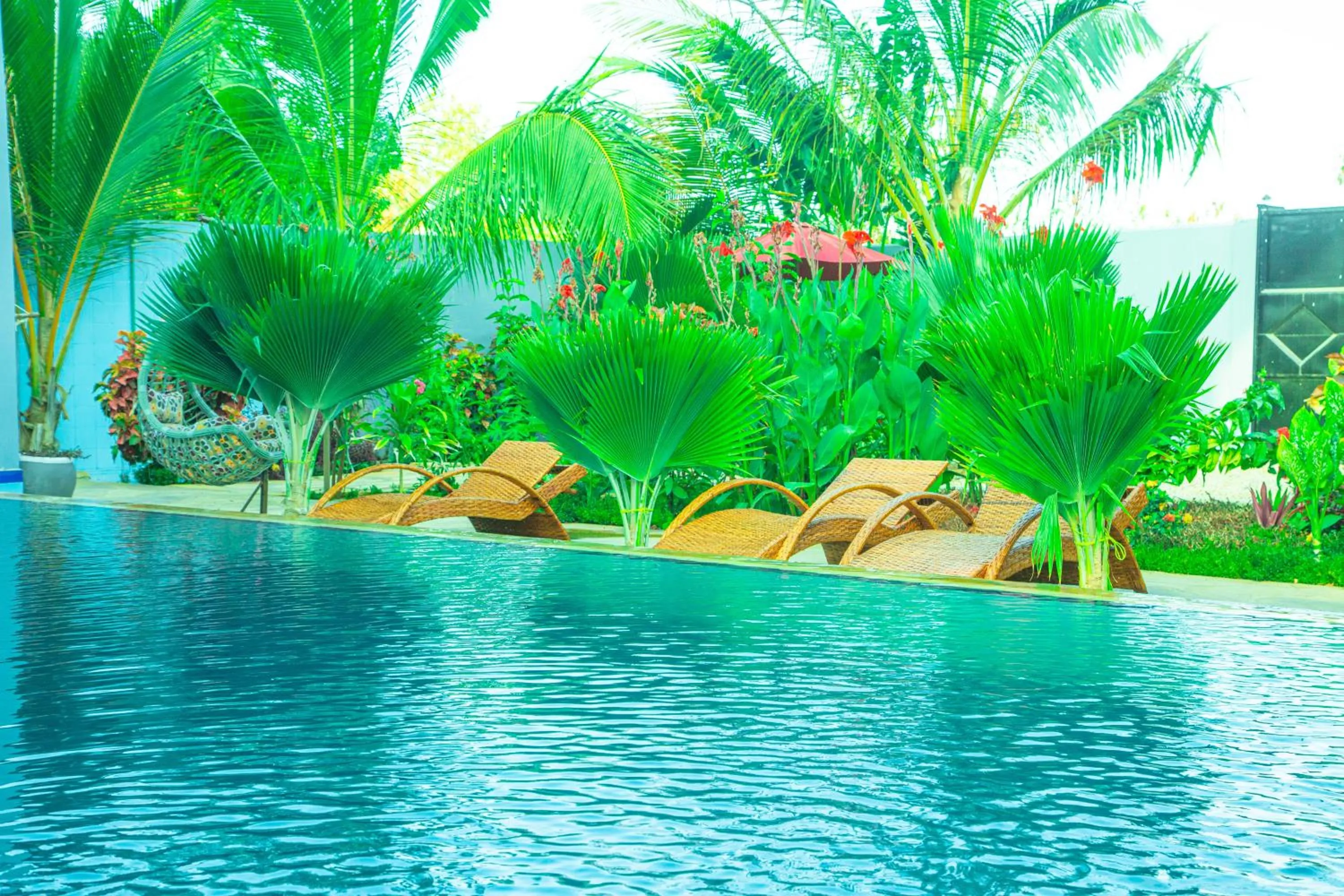 Day in Jazira Palace