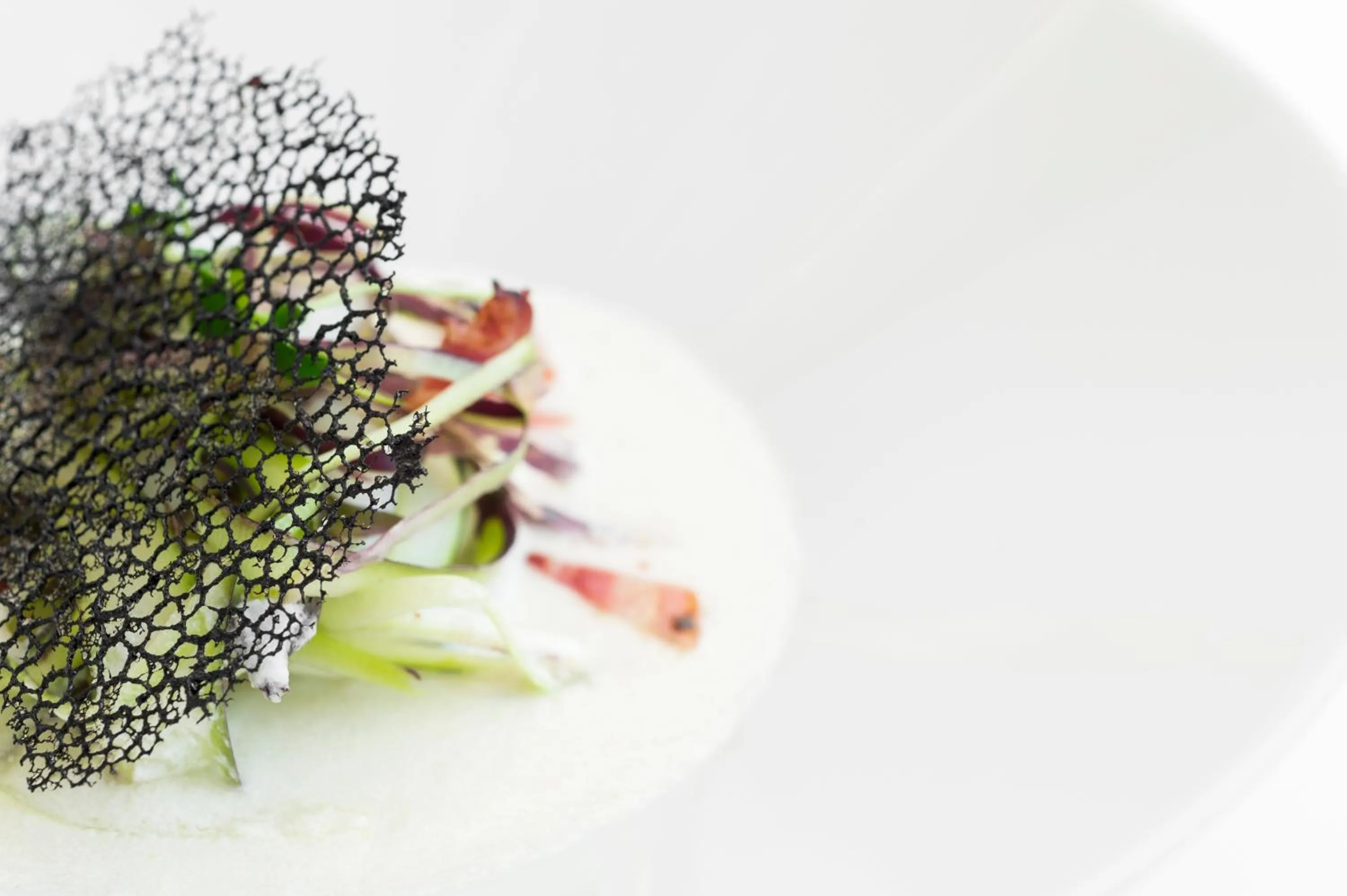 Restaurant/places to eat in Villa Imperiale Hotel