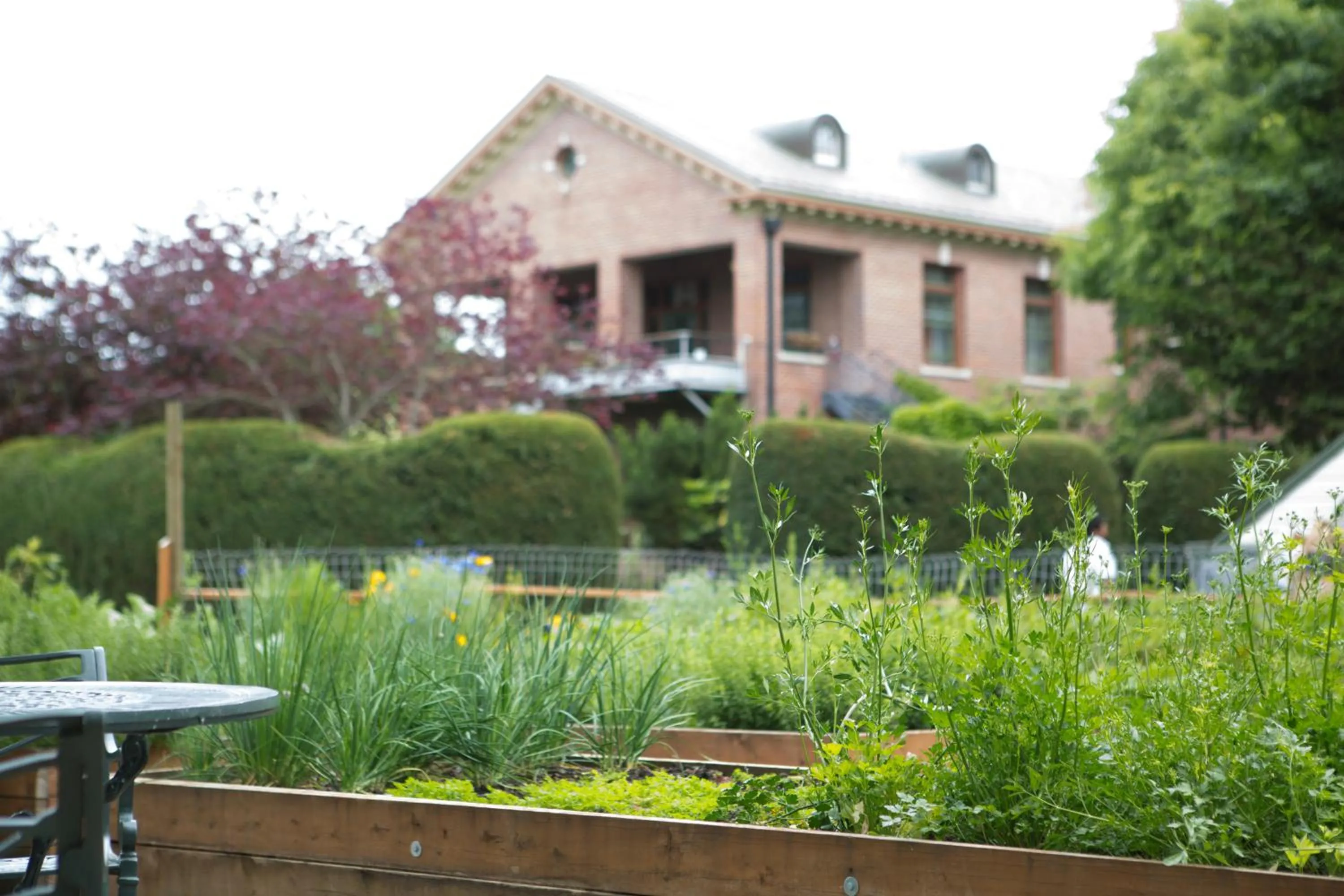 Garden in McMenamins Grand Lodge