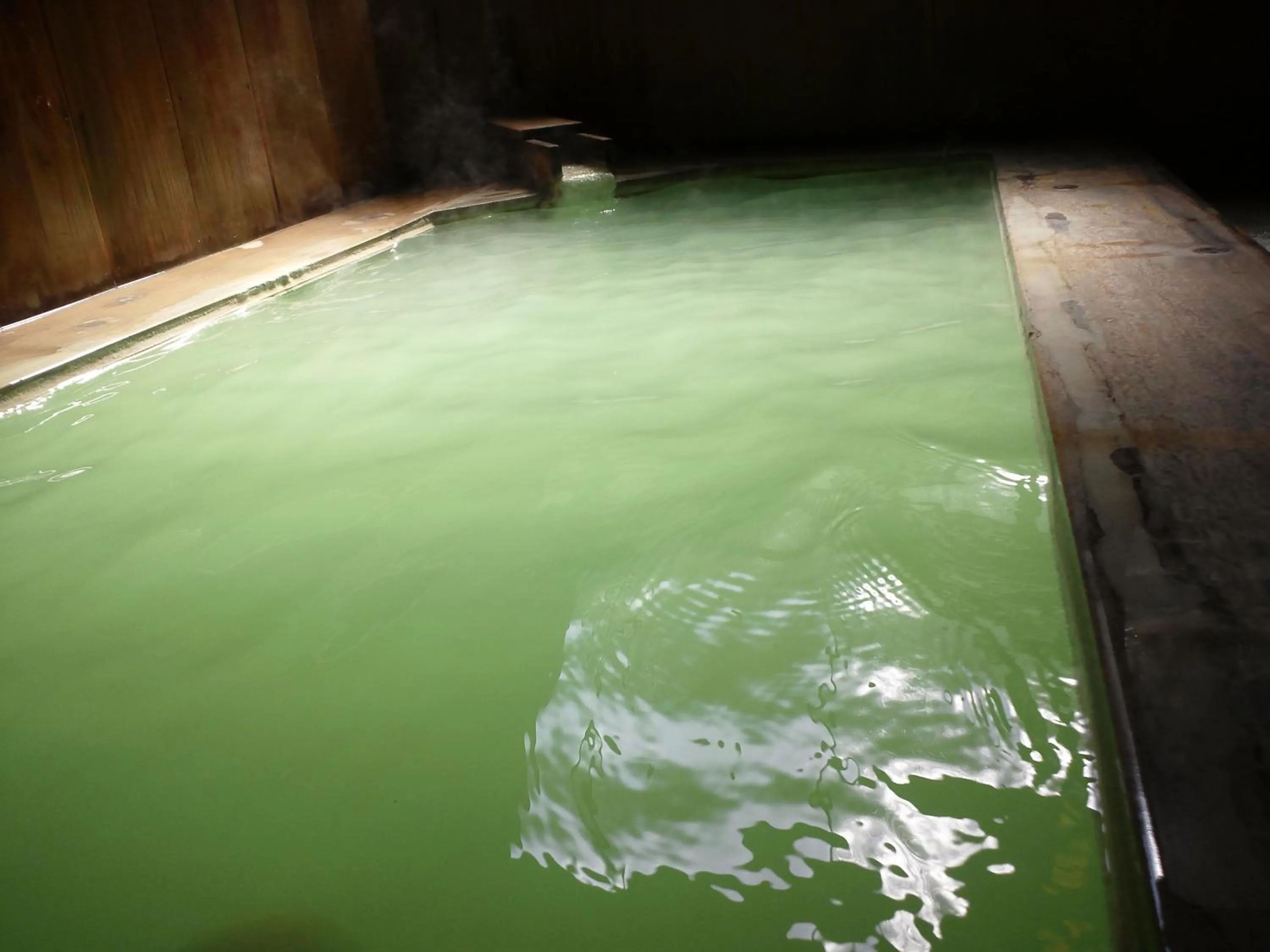 Hot Spring Bath in Gensenkan