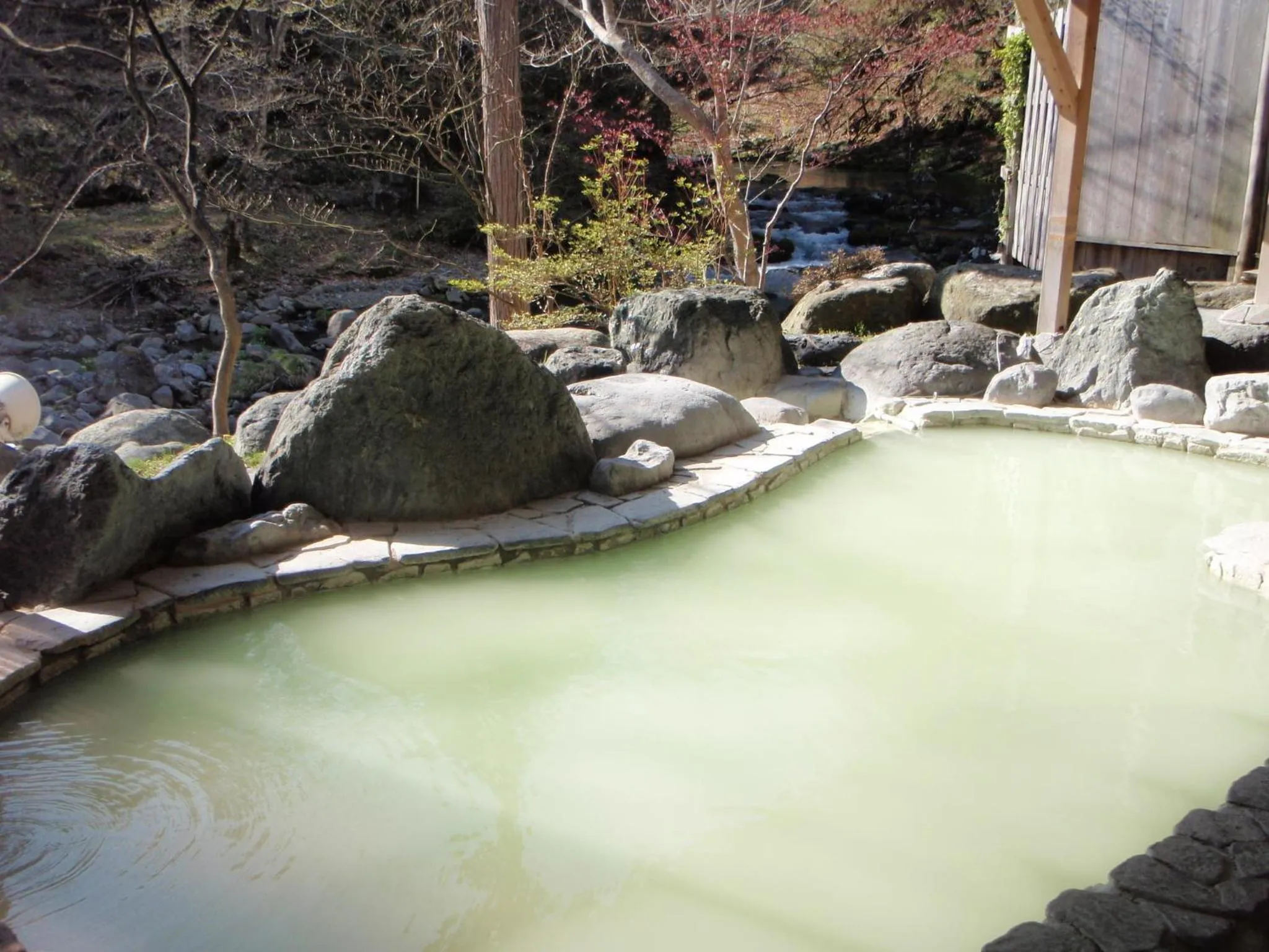 Hot Spring Bath in Gensenkan