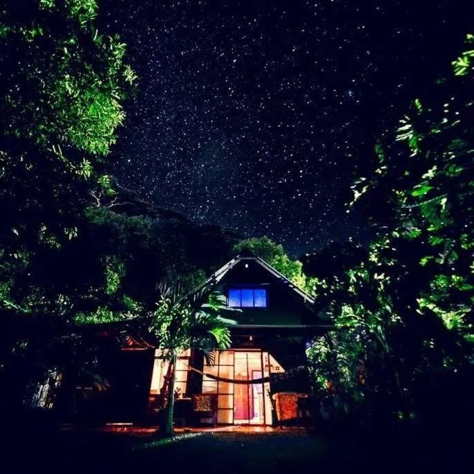 Night in Franky's Fare