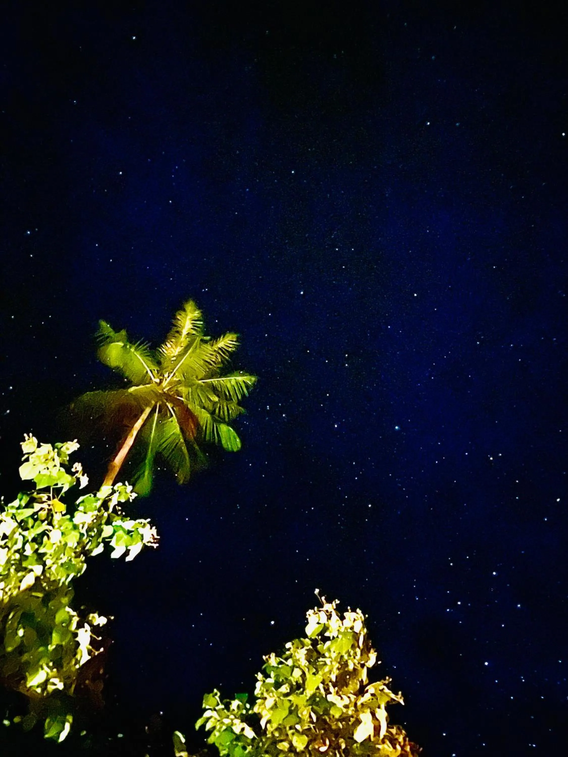 Night in Franky's Fare