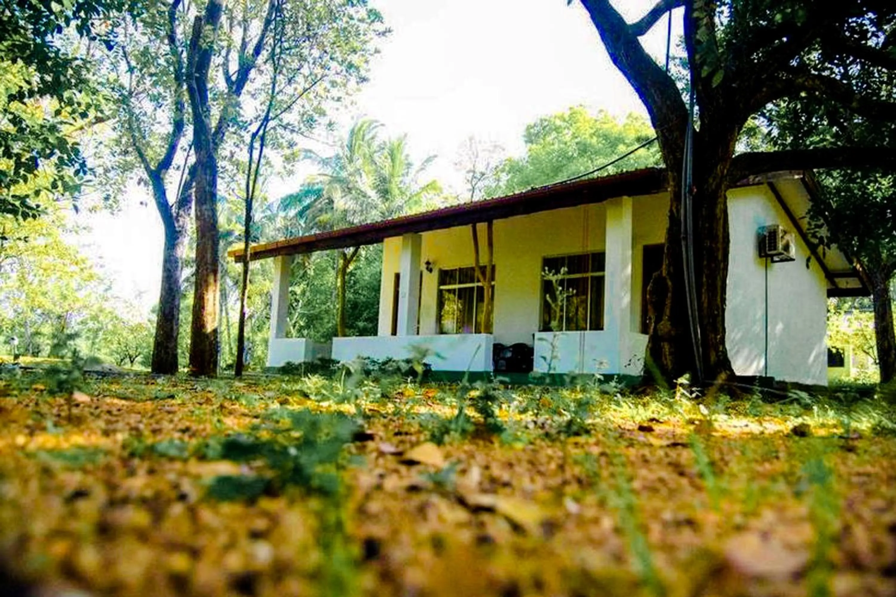Property building in Banana Rest Sigiriya
