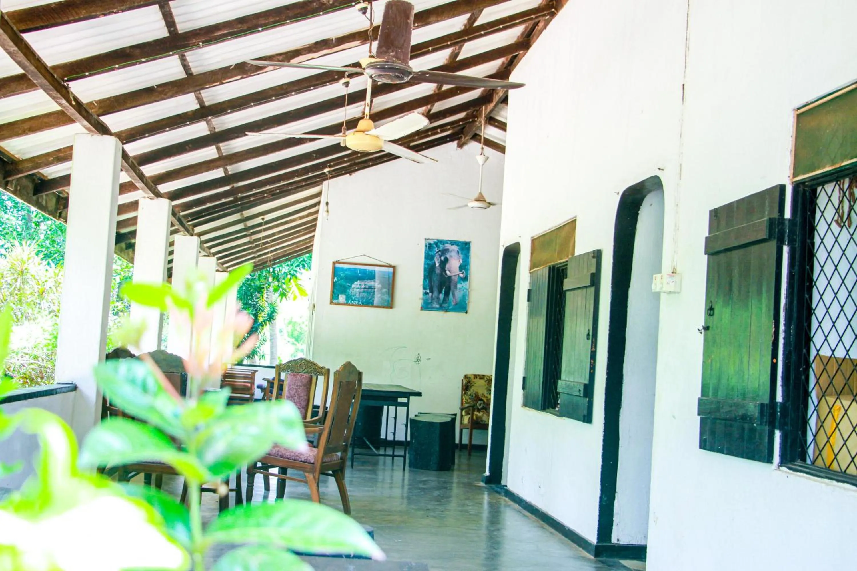 Living room in Banana Rest Sigiriya