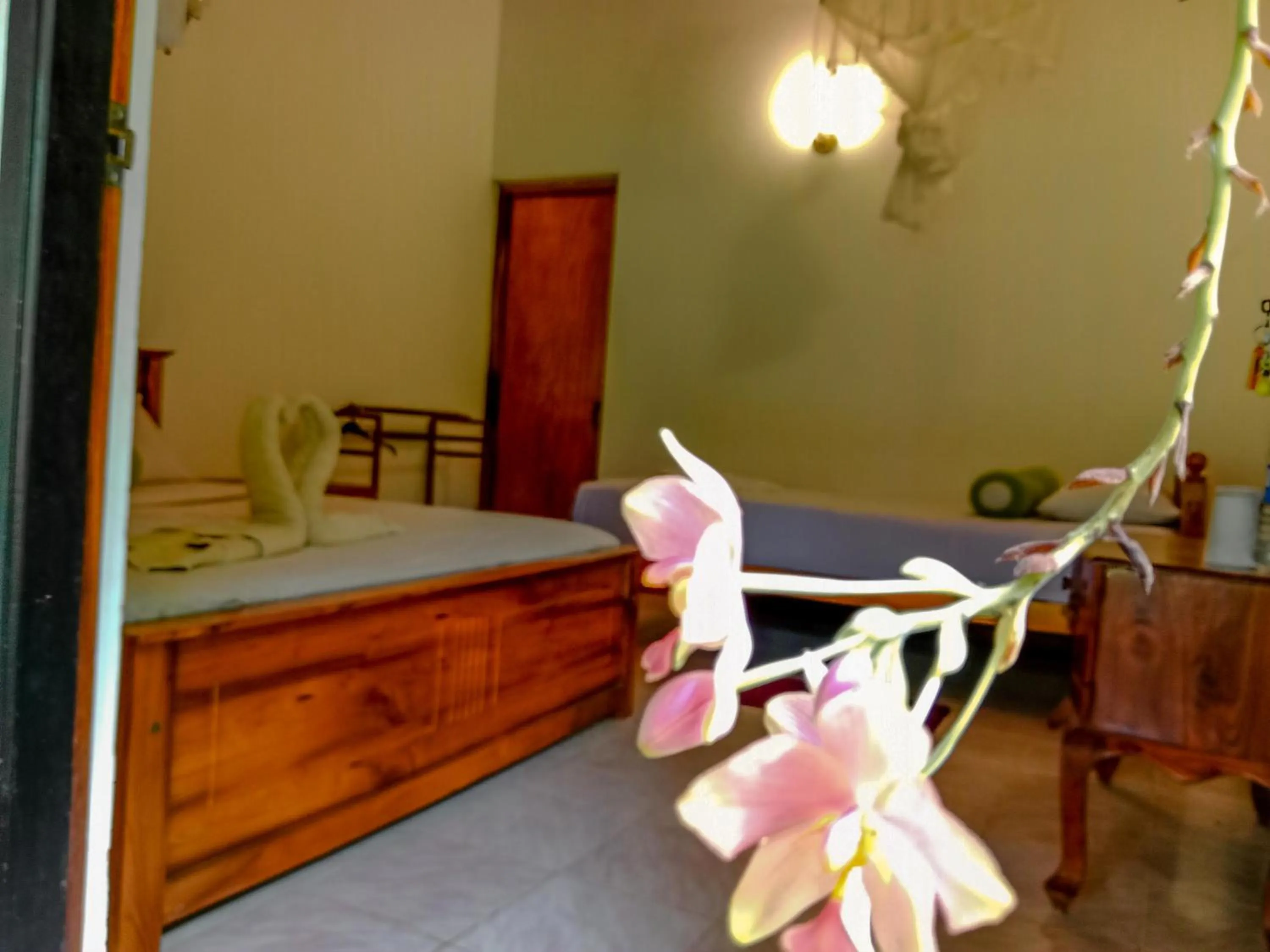 Bed in Banana Rest Sigiriya