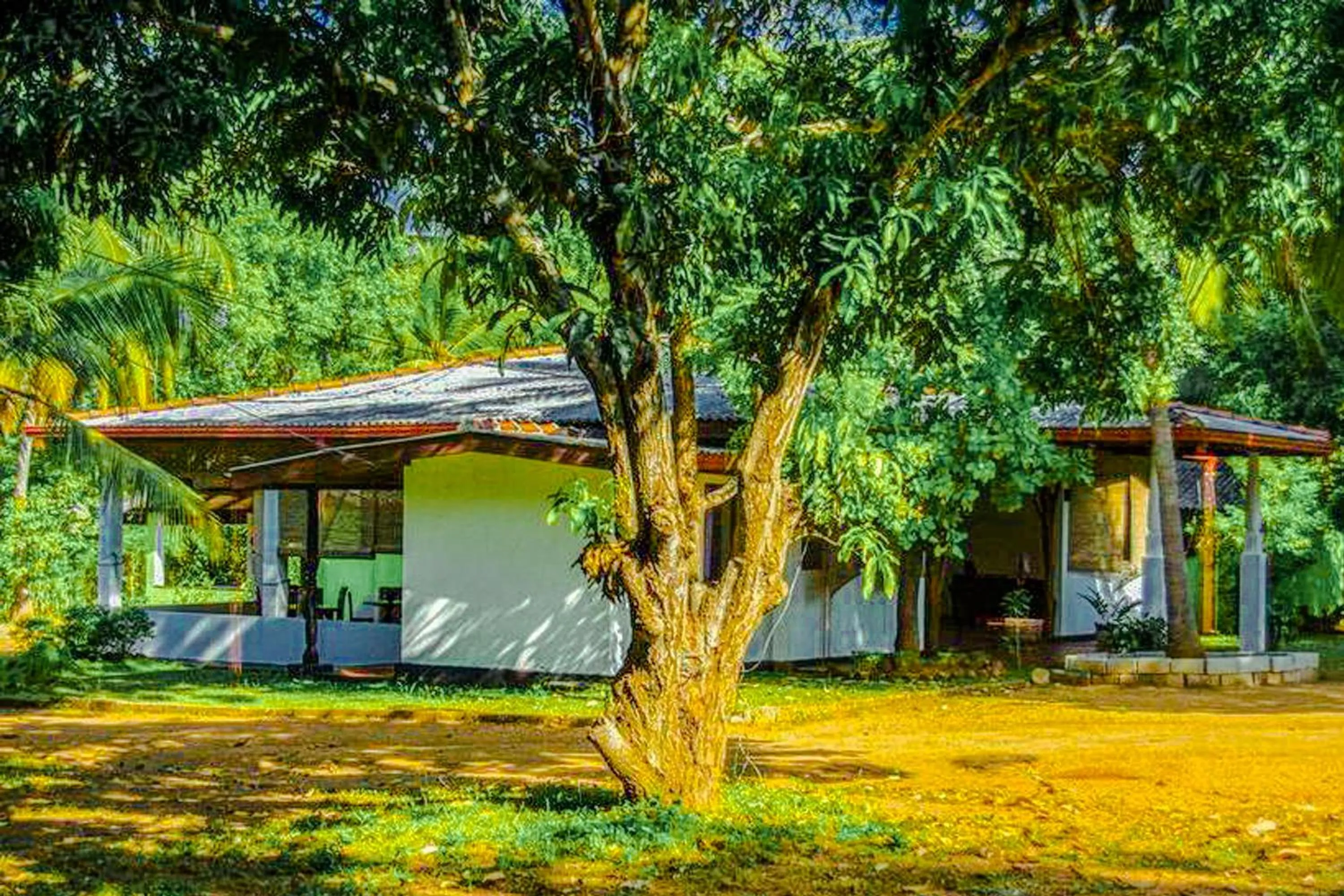 Property building in Banana Rest Sigiriya