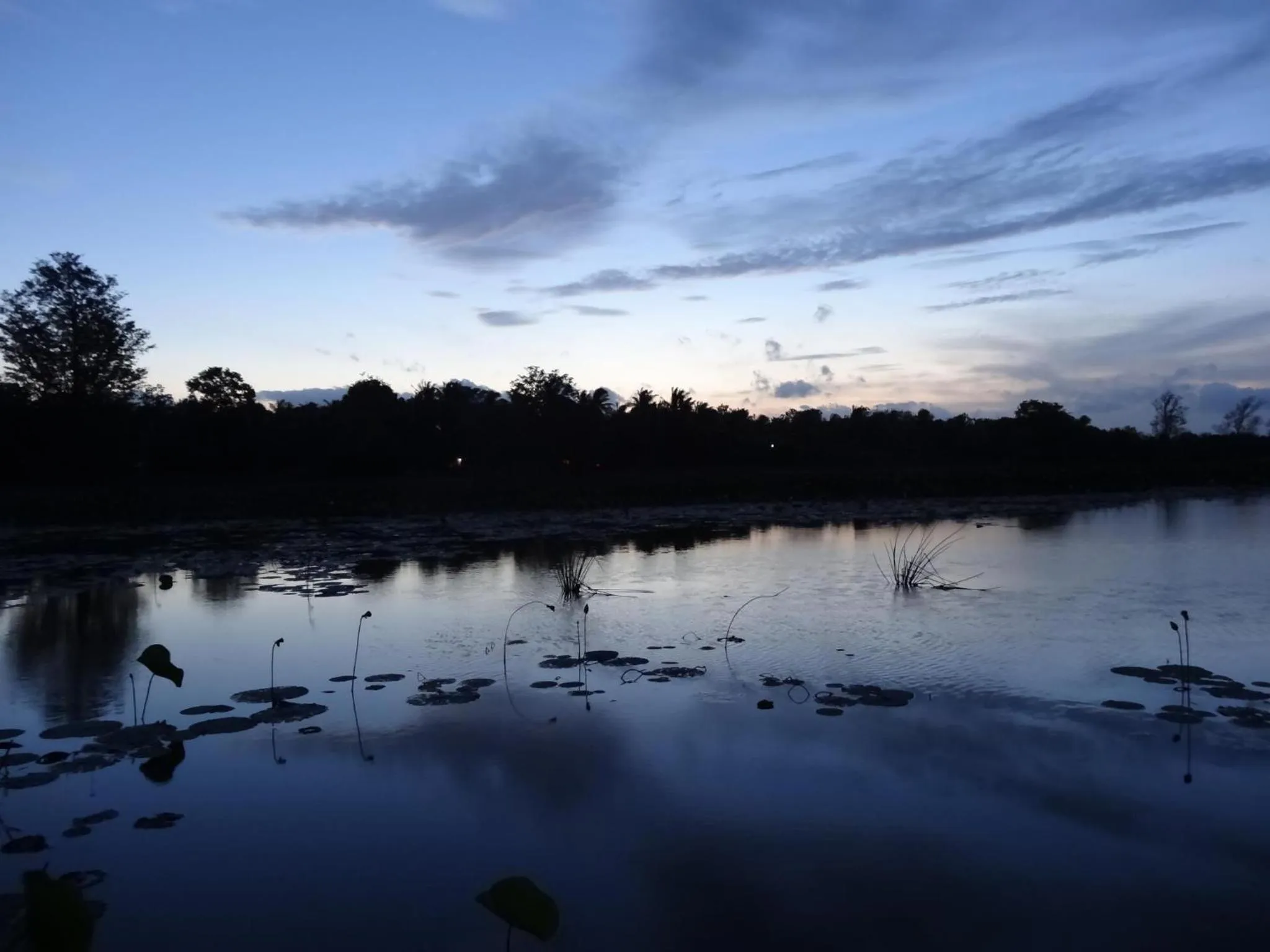 Day in Banana Rest Sigiriya