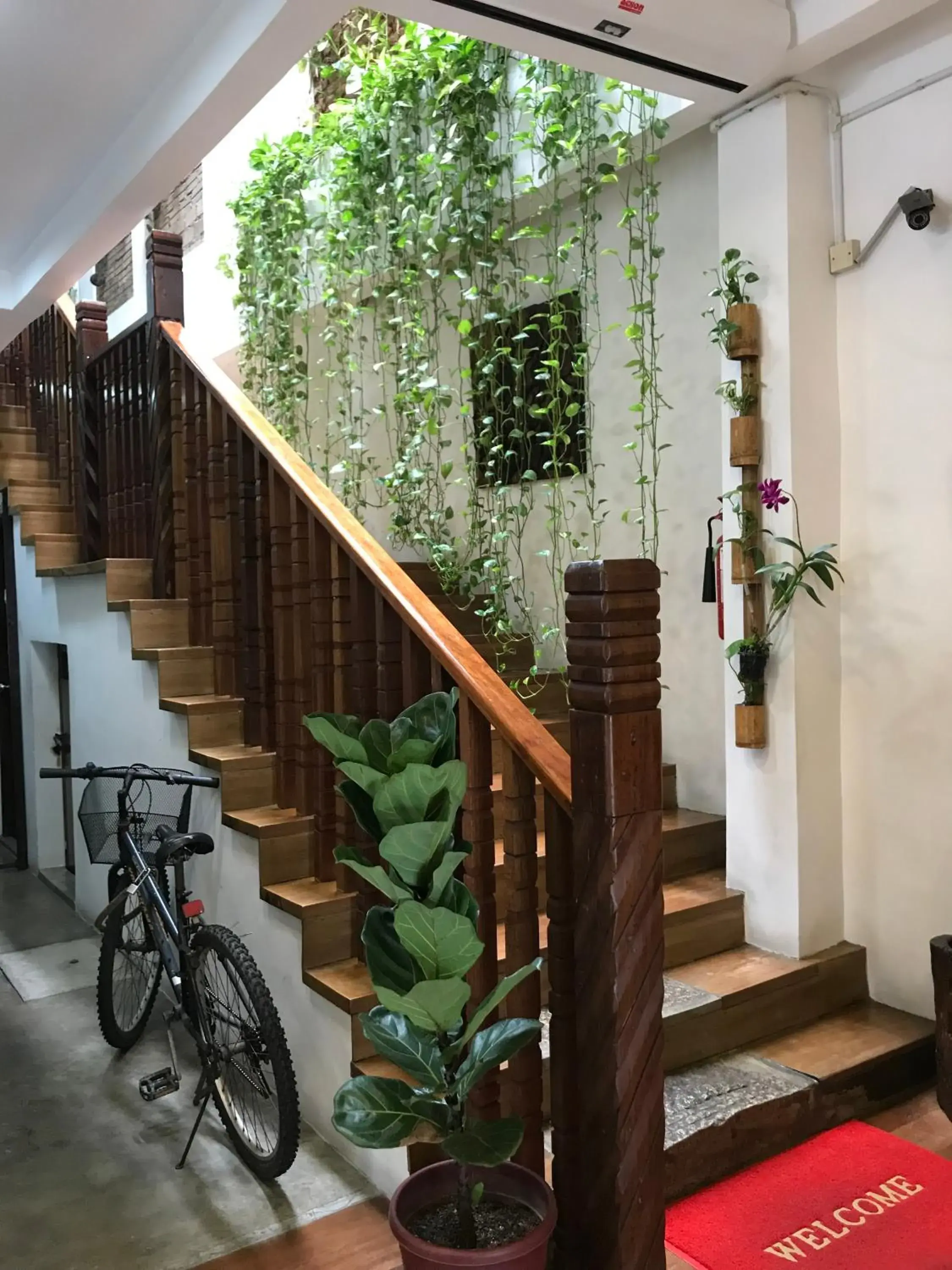 Lobby or reception in Palm Mansion Boutique Suites Lobby or reception in Palm Mansion Boutique Suites