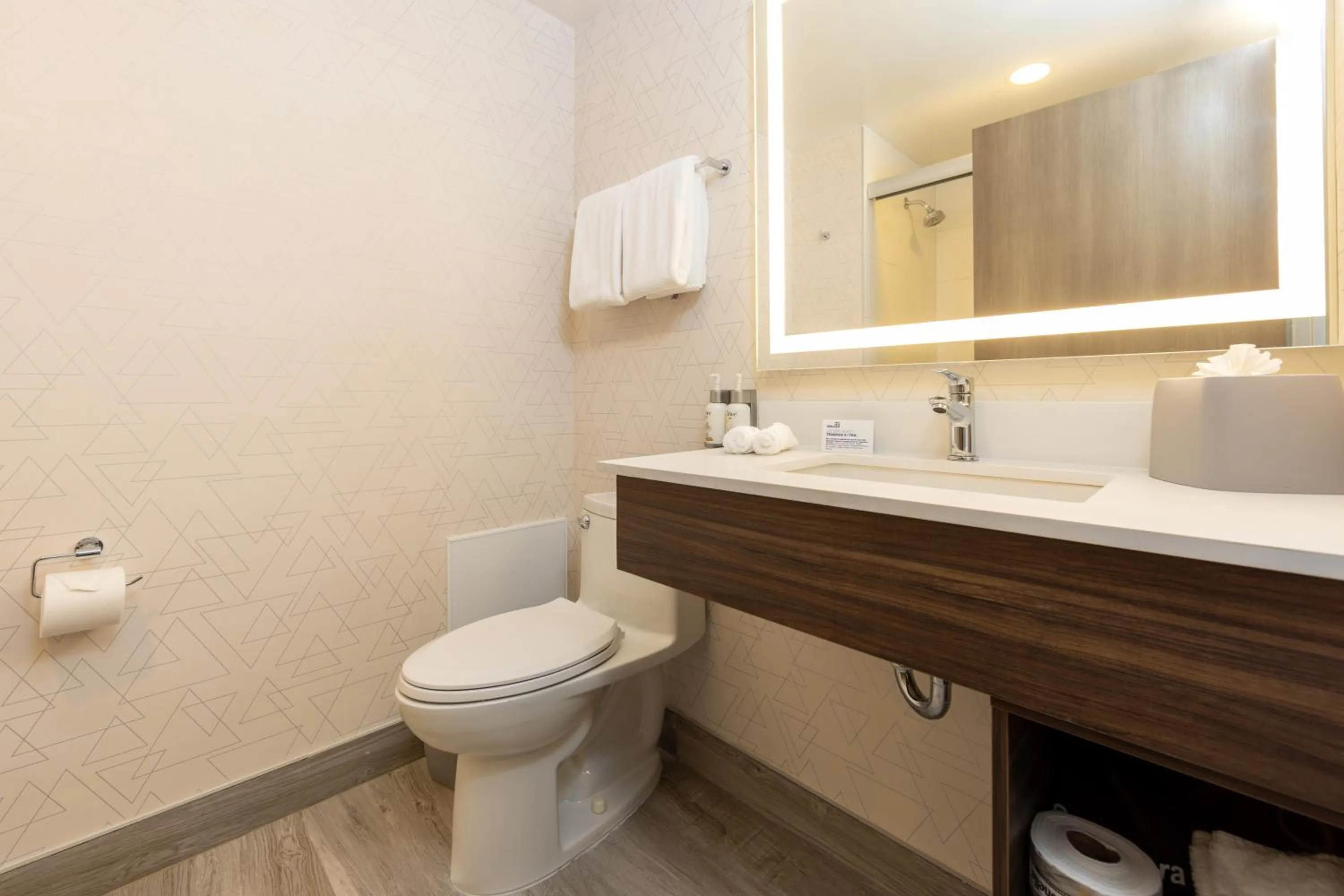 Bathroom in Holiday Inn Express & Suites Mazatlan by IHG
