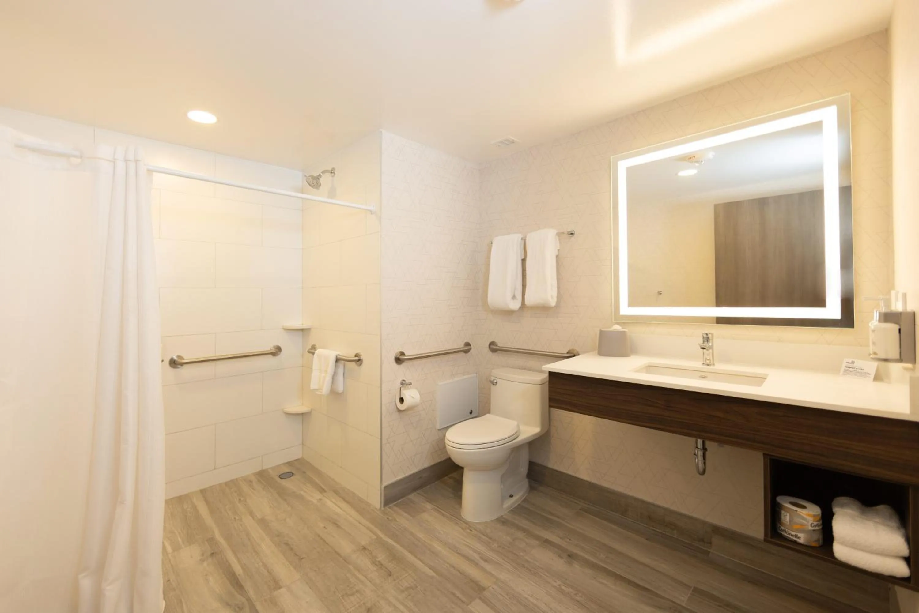 Bathroom in Holiday Inn Express & Suites Mazatlan by IHG