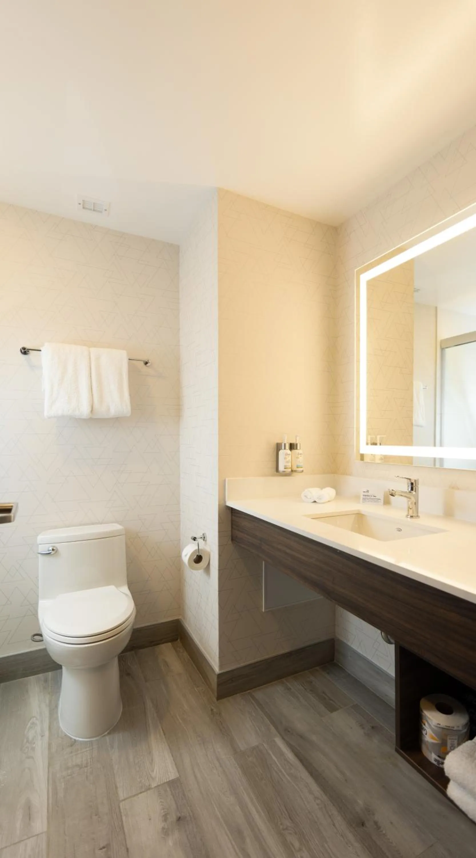 Bathroom in Holiday Inn Express & Suites Mazatlan by IHG